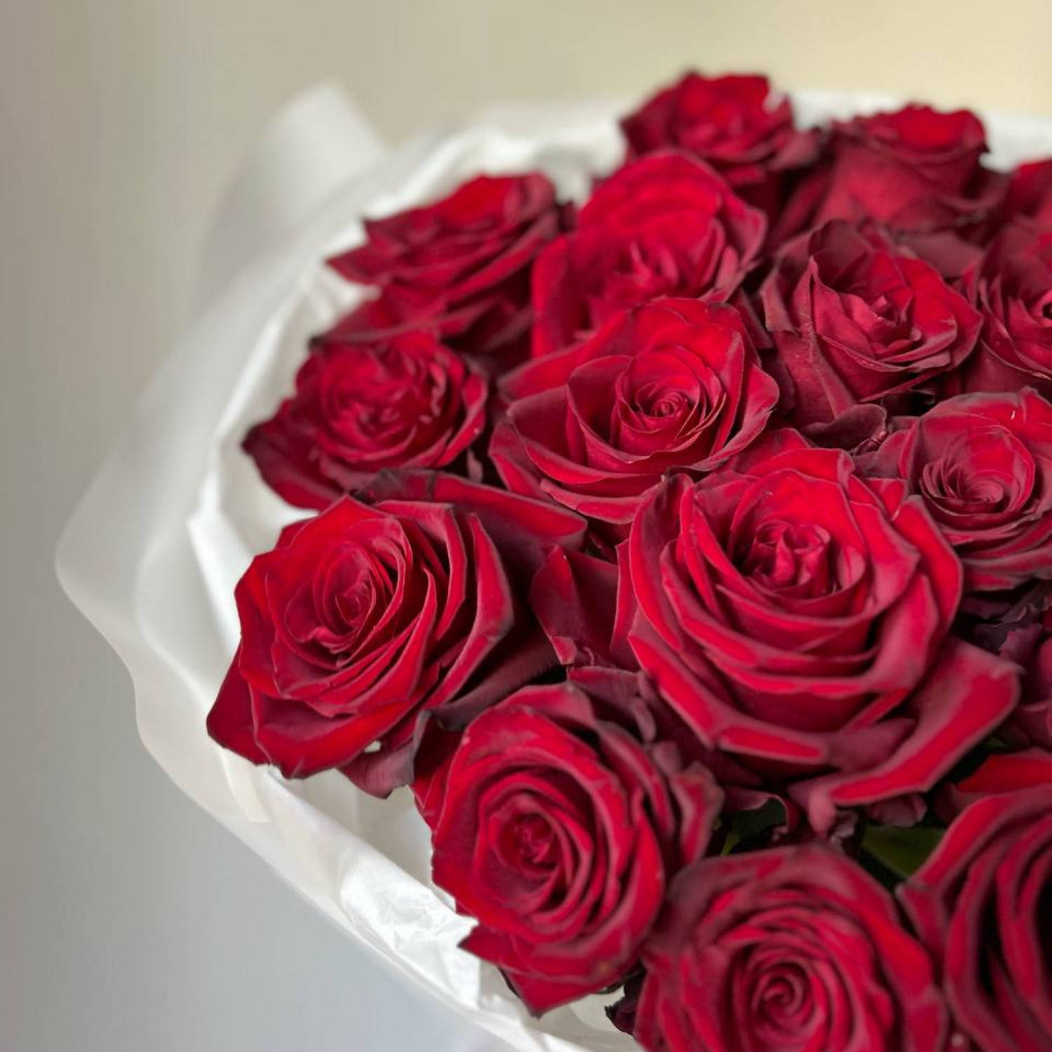 Монобукет из 21 красной эквадорской розы №72