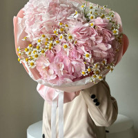 Дуобукет из Гортензий и кустовых ромашек №83