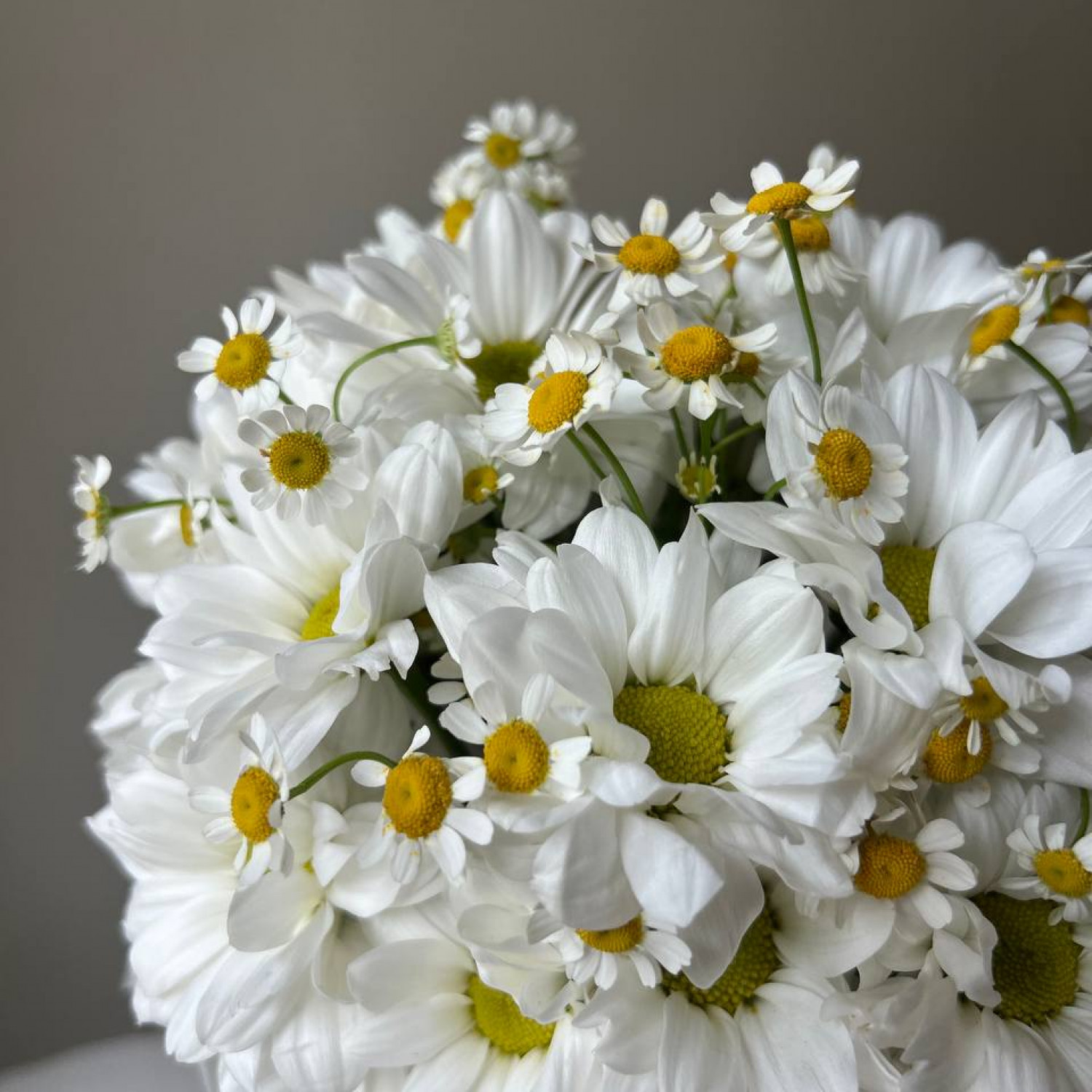 Композиция в коробке из ромашек № 80