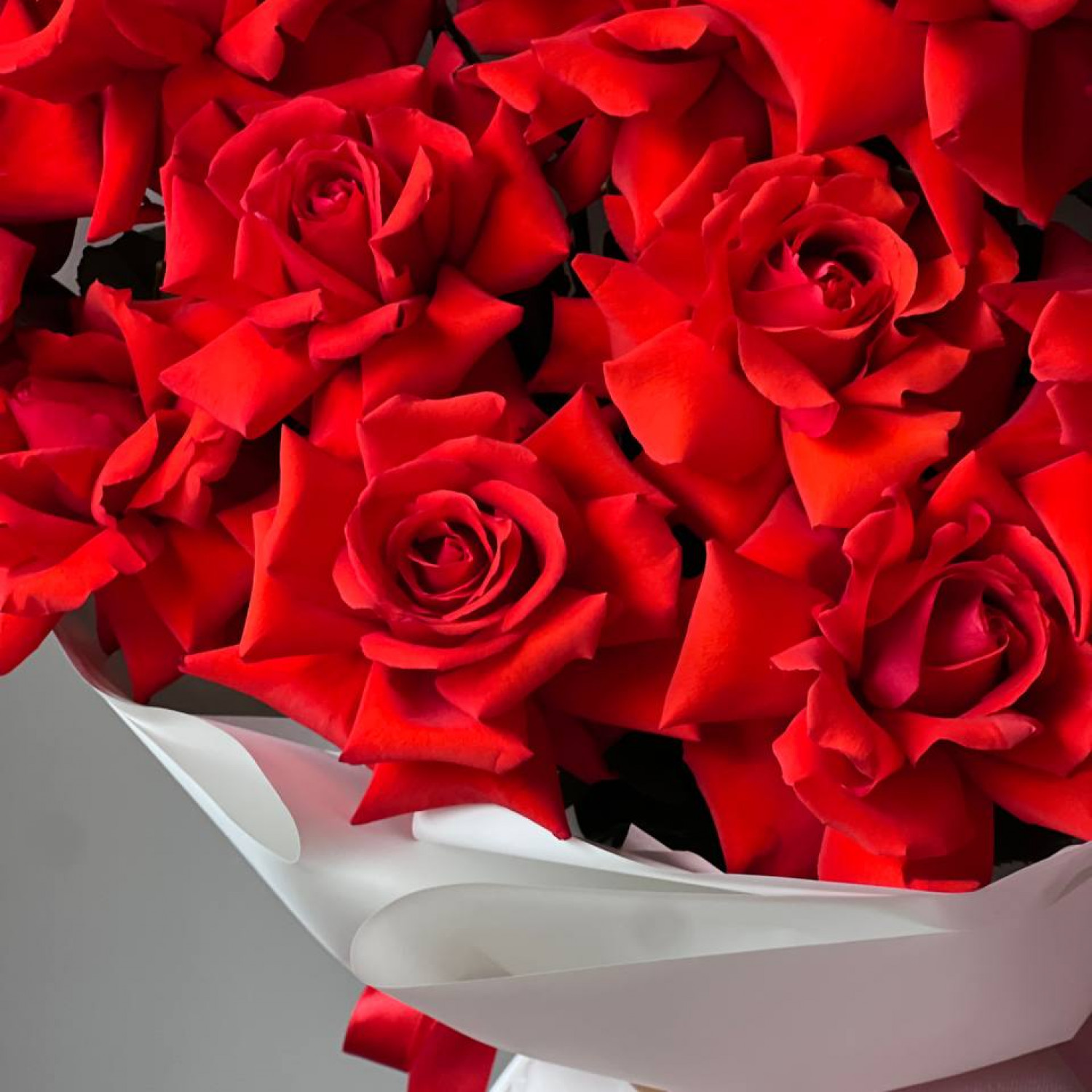 Монобукет из 15 красных Французских вывернутых роз Нина