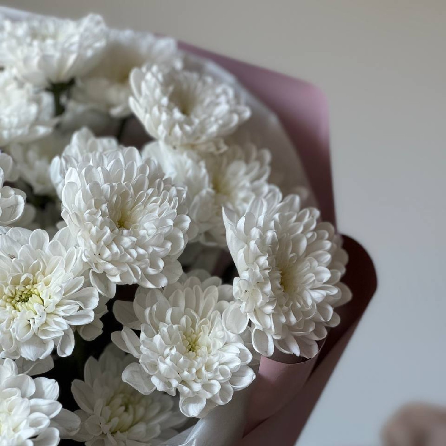 Монобукет из кустовой хризантемы Алтай