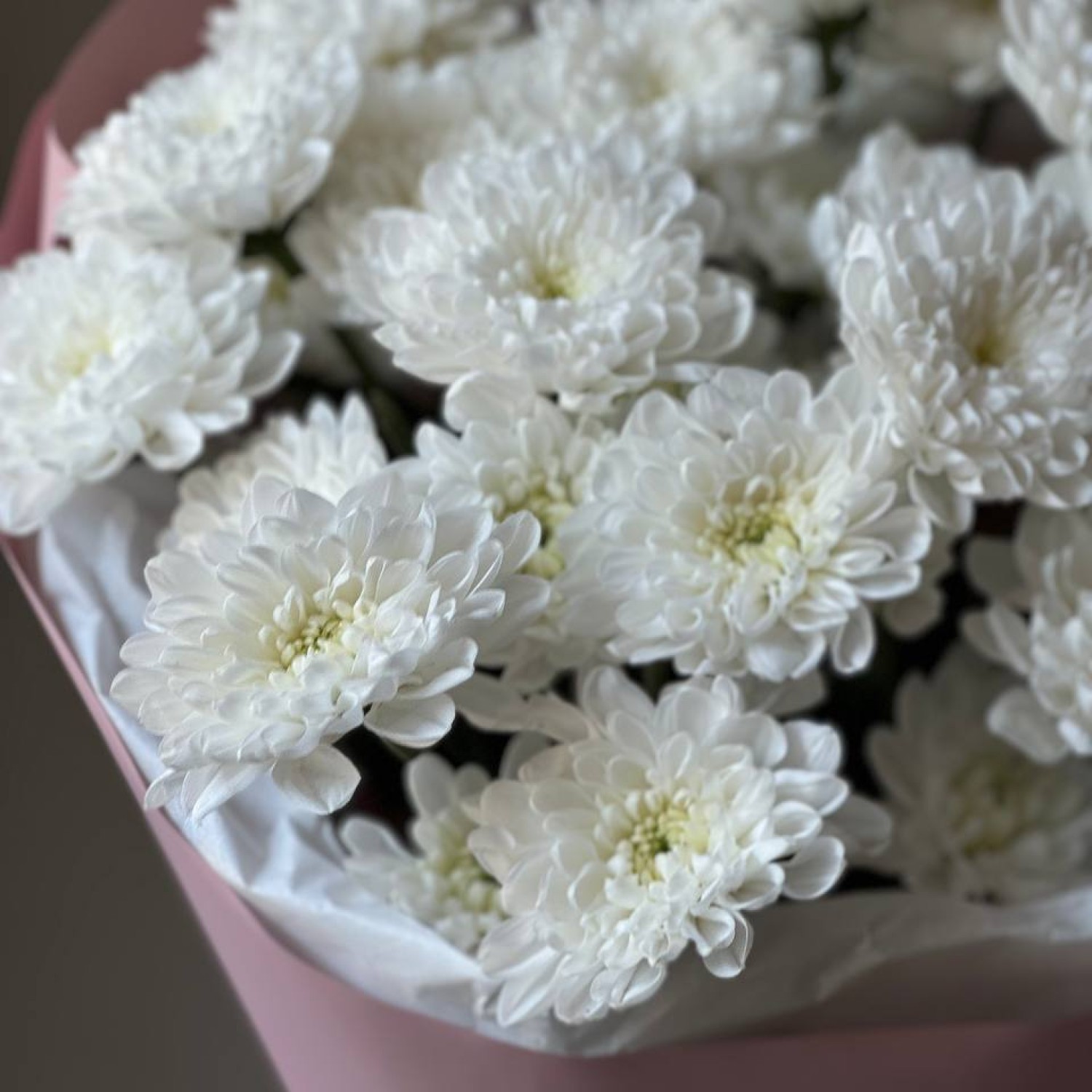 Монобукет из кустовой хризантемы Алтай