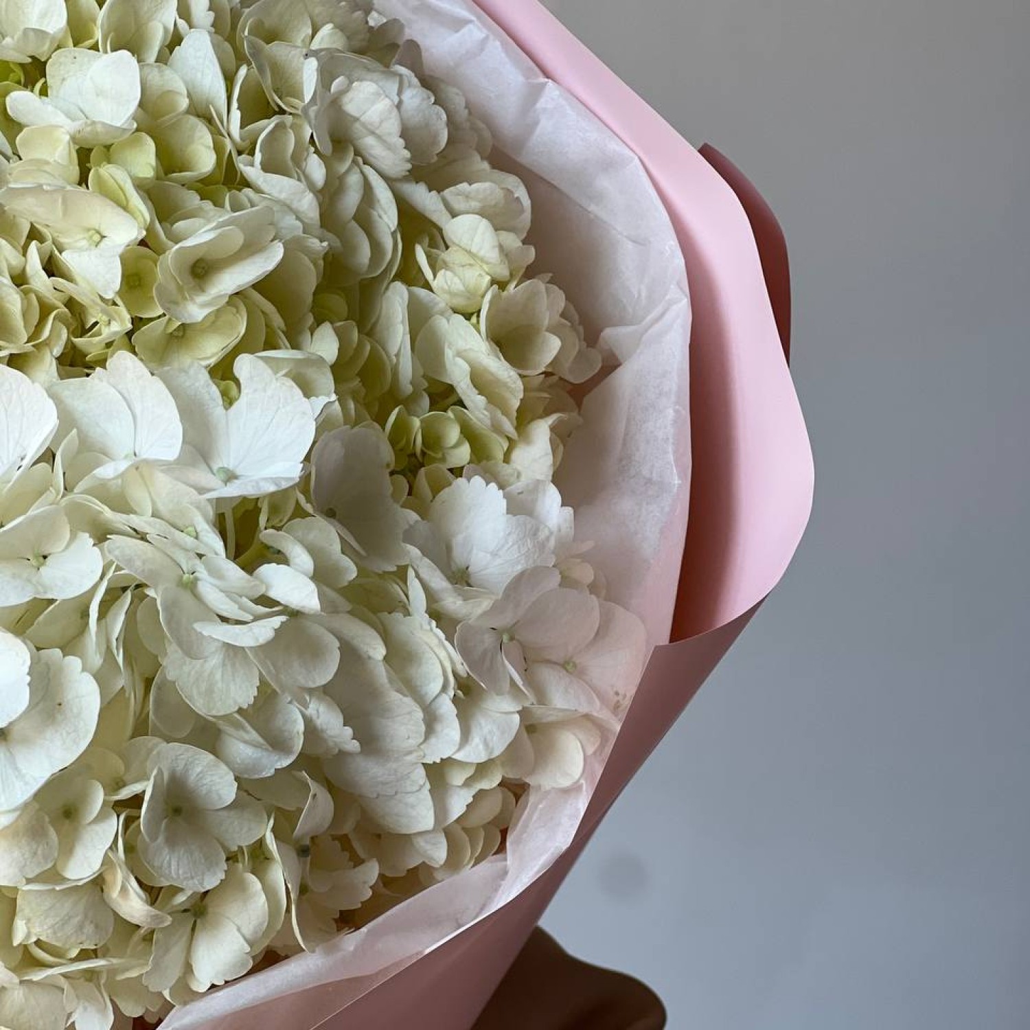 Монобукет из 3 гортензий