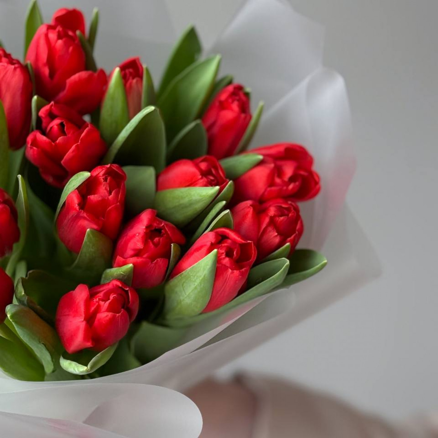 Монобукет из красных тюльпанов 222