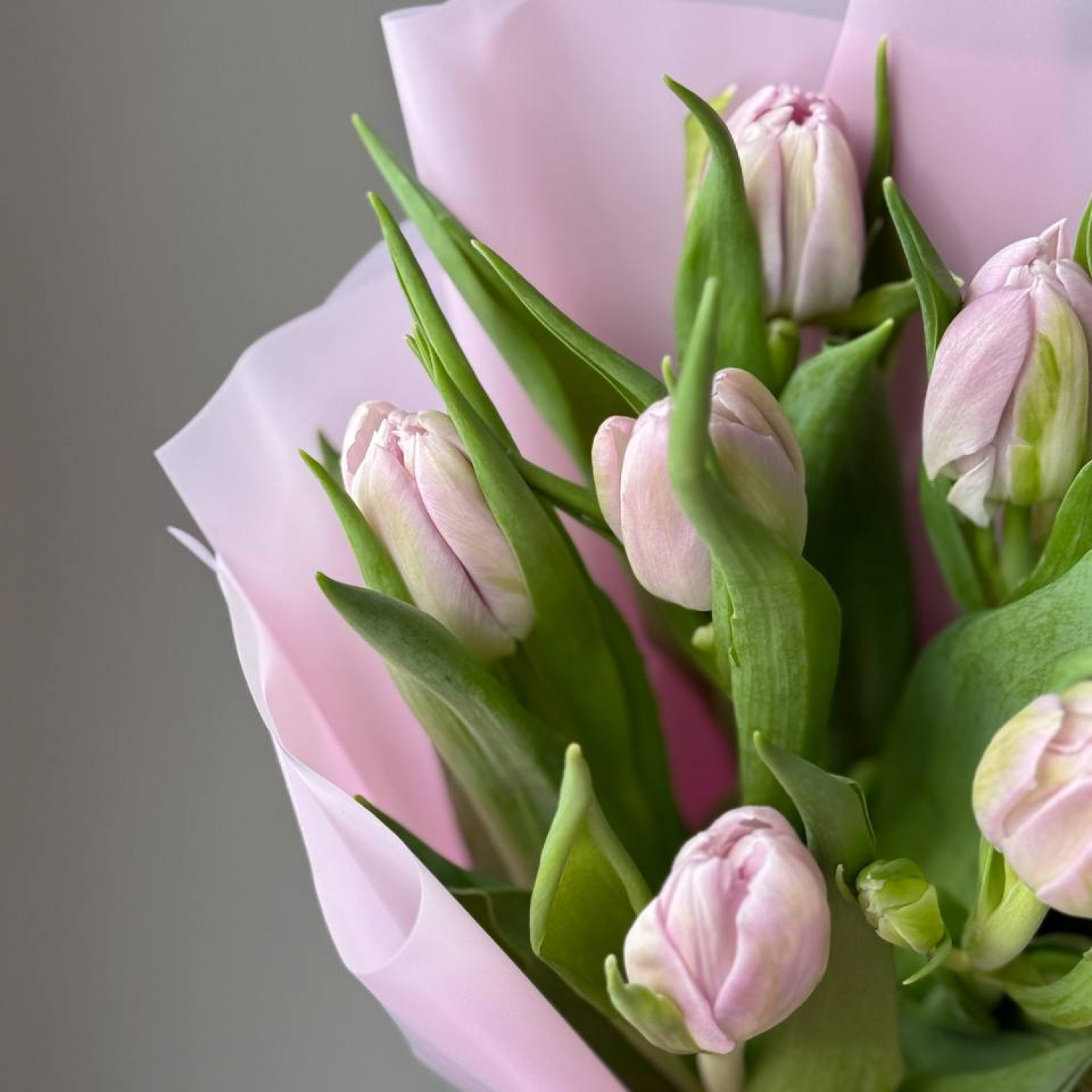 Монобукет из неженных тюльпанов 224