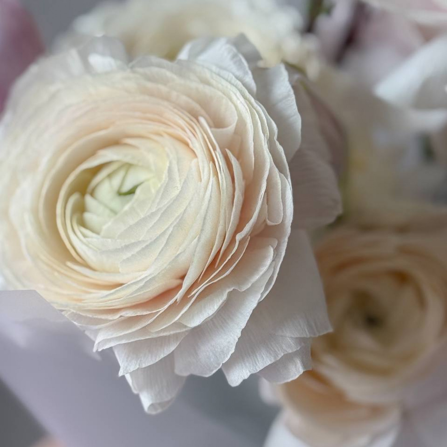 Авторский букет 219