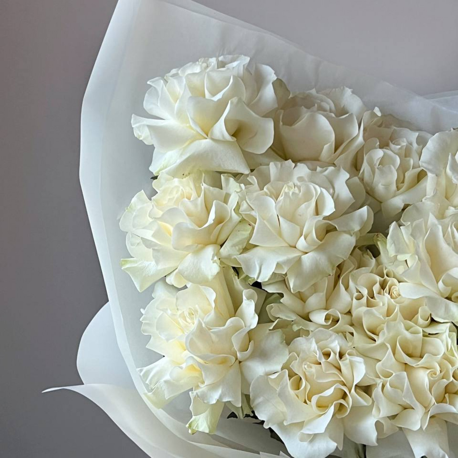 Монобукет из 15 белых французских вывернутых роз. №32