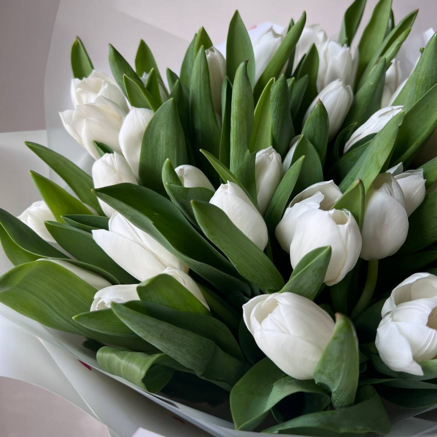 Монобукет из 39 белых тюльпанов №33