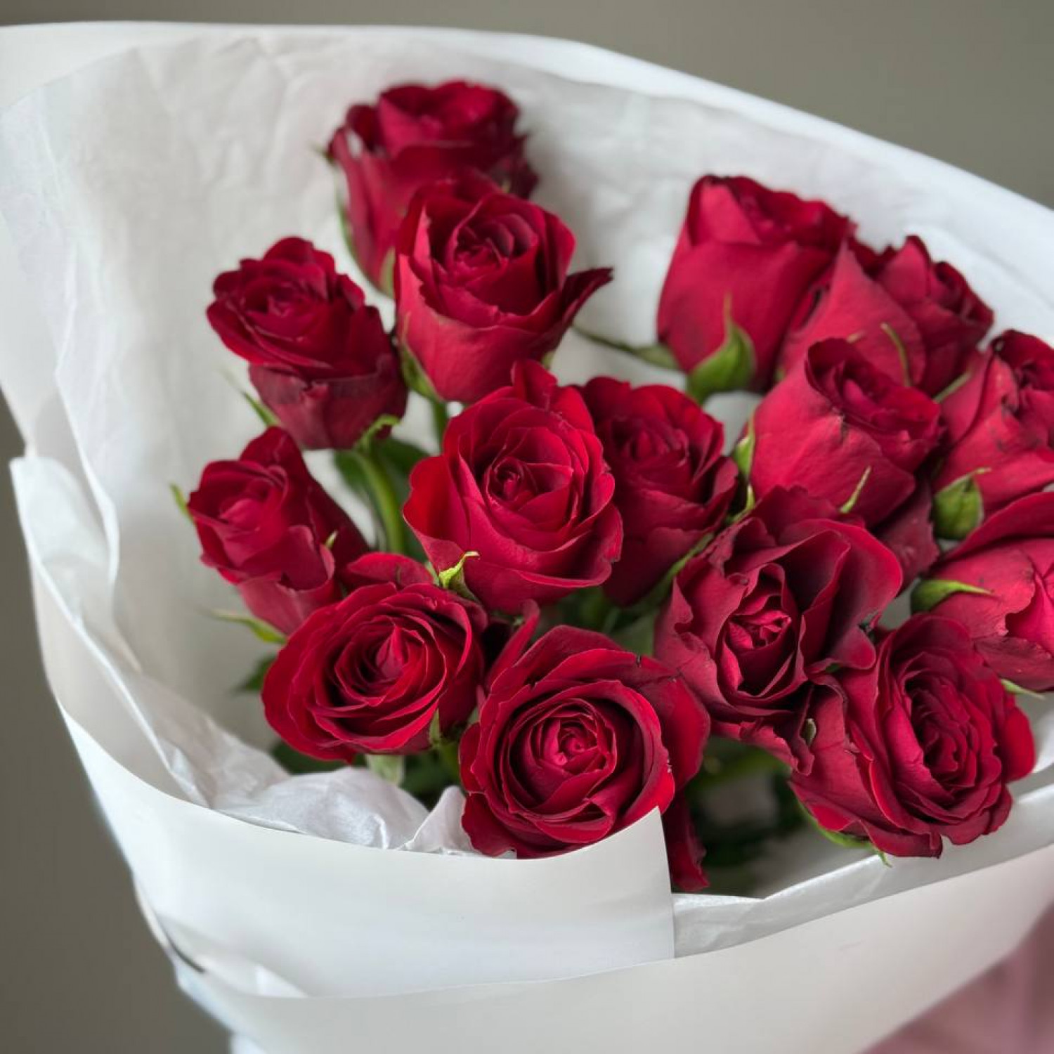 Монобукет из 15 красных кенийских роз (40 см) 205