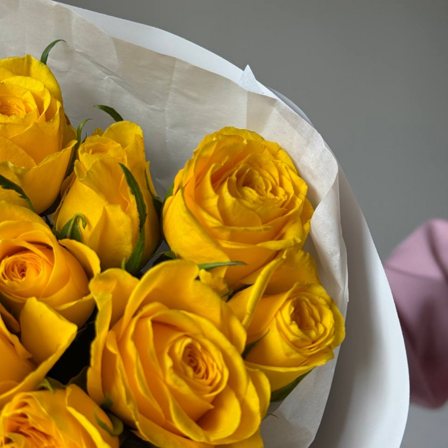Монобукет из 15 желтых кенийских роз (40 см) 205
