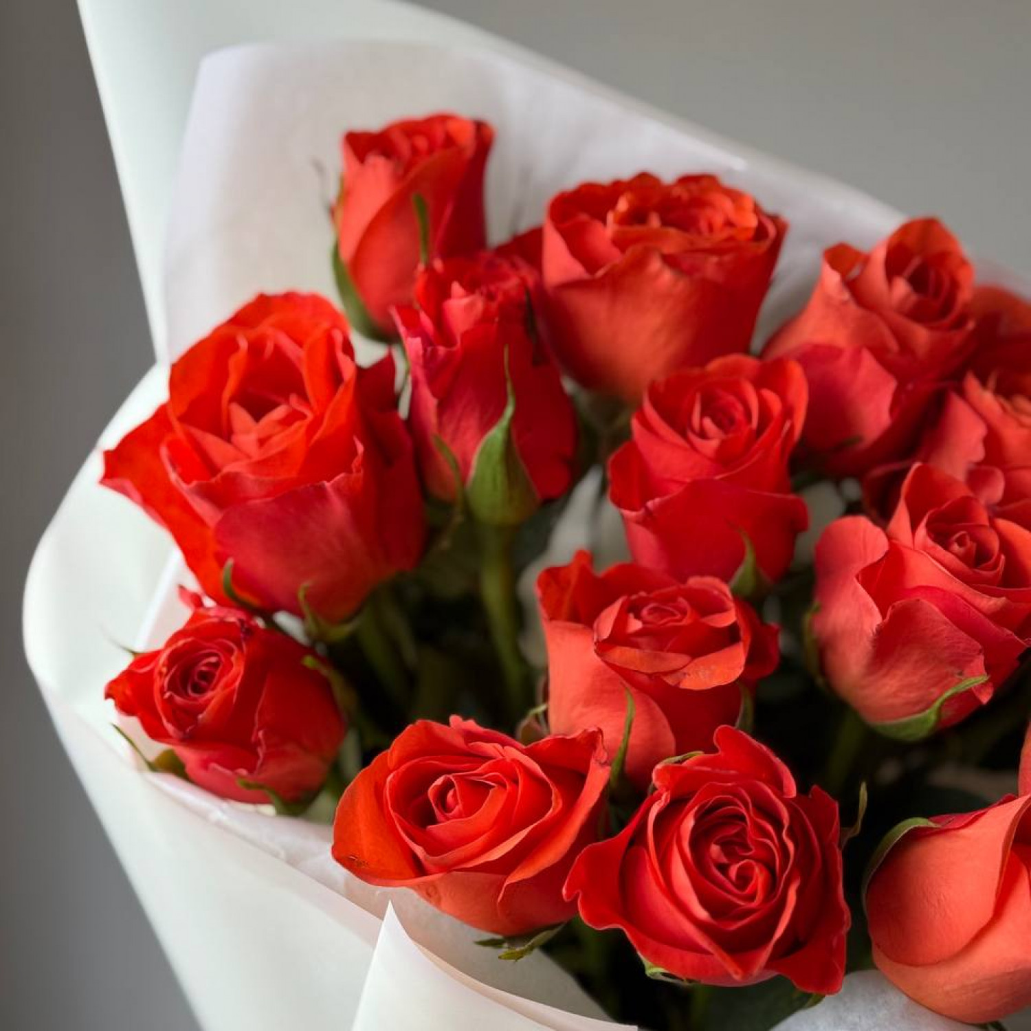 Монобукет из 15 оранжевых кенийских роз (40 см) 208