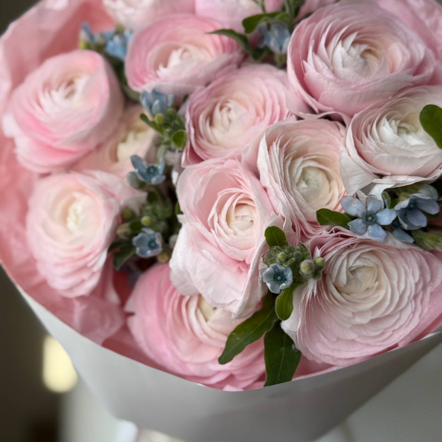 Букет из Ранункулюсов и незабудок 202