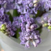 Монобукет из 9 лавандовых гиацинтов 203