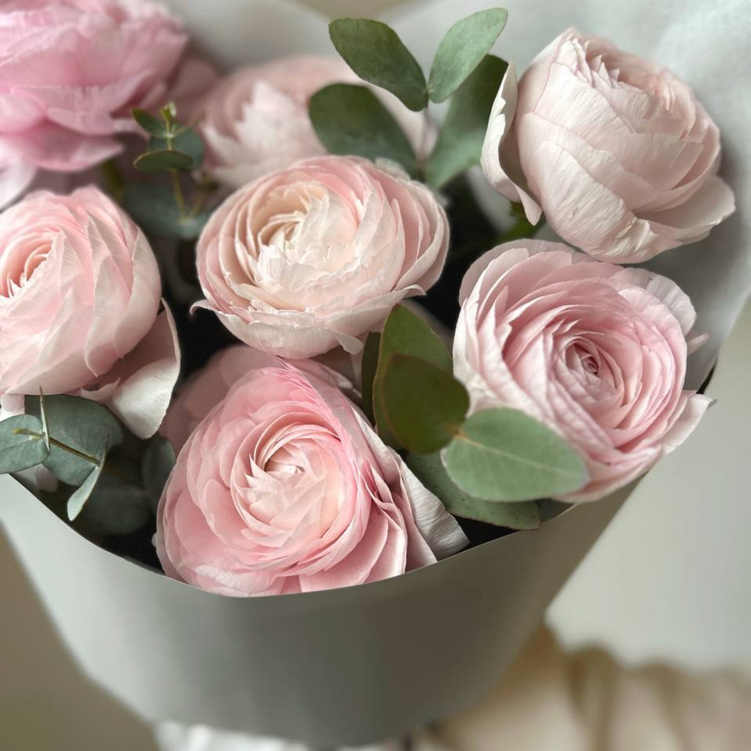 Монобукет из 7 ранункулюсов с Эвкалиптом 140