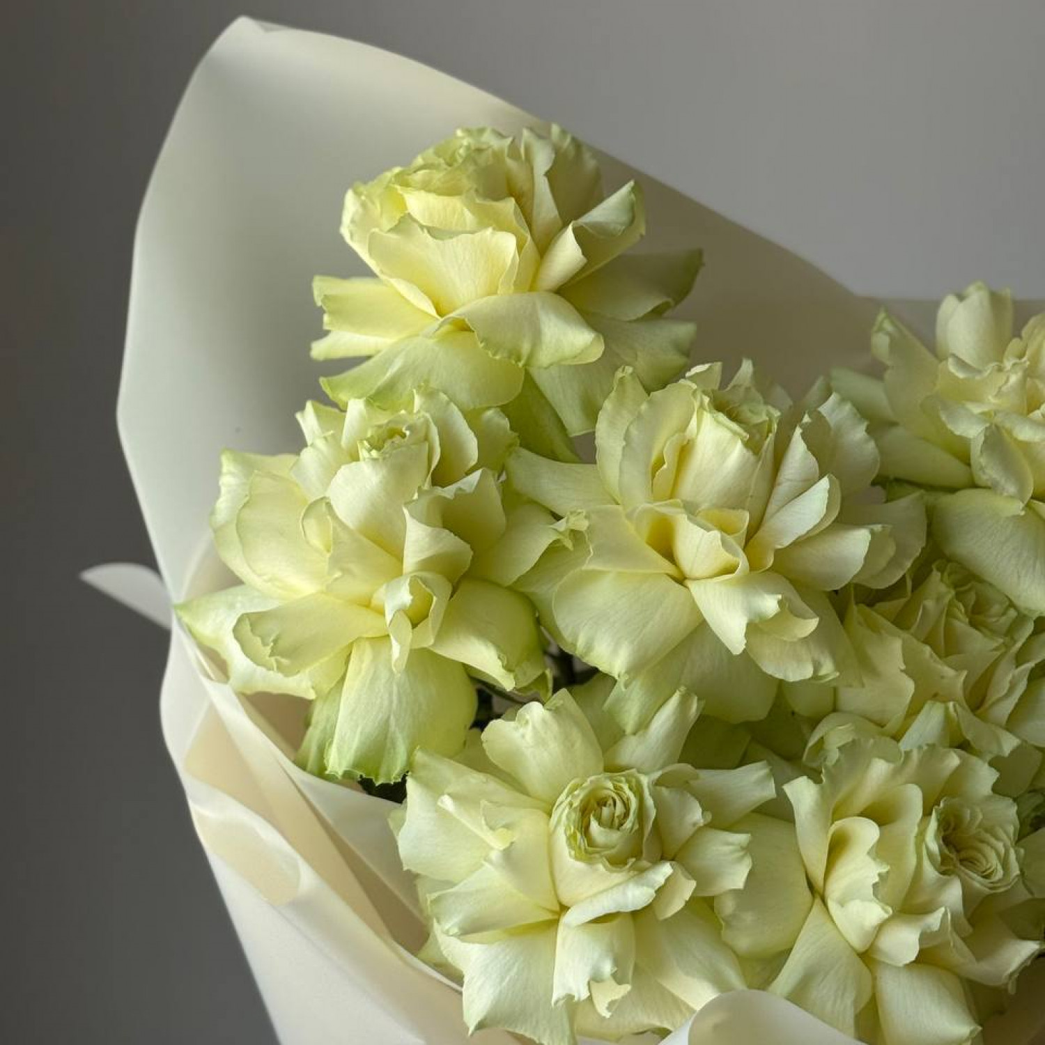 Монобукет из 9 французских вывернутых роз 211