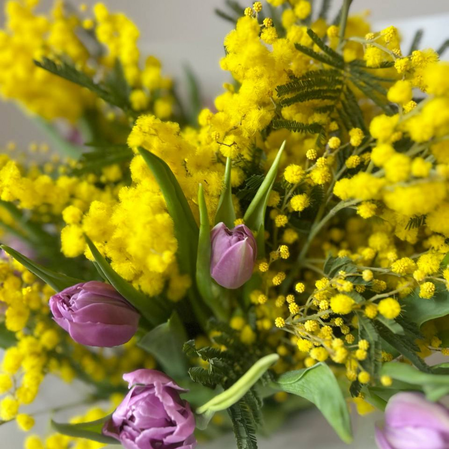 Букет ароматной мимозы с лавандовыми тюльпанами