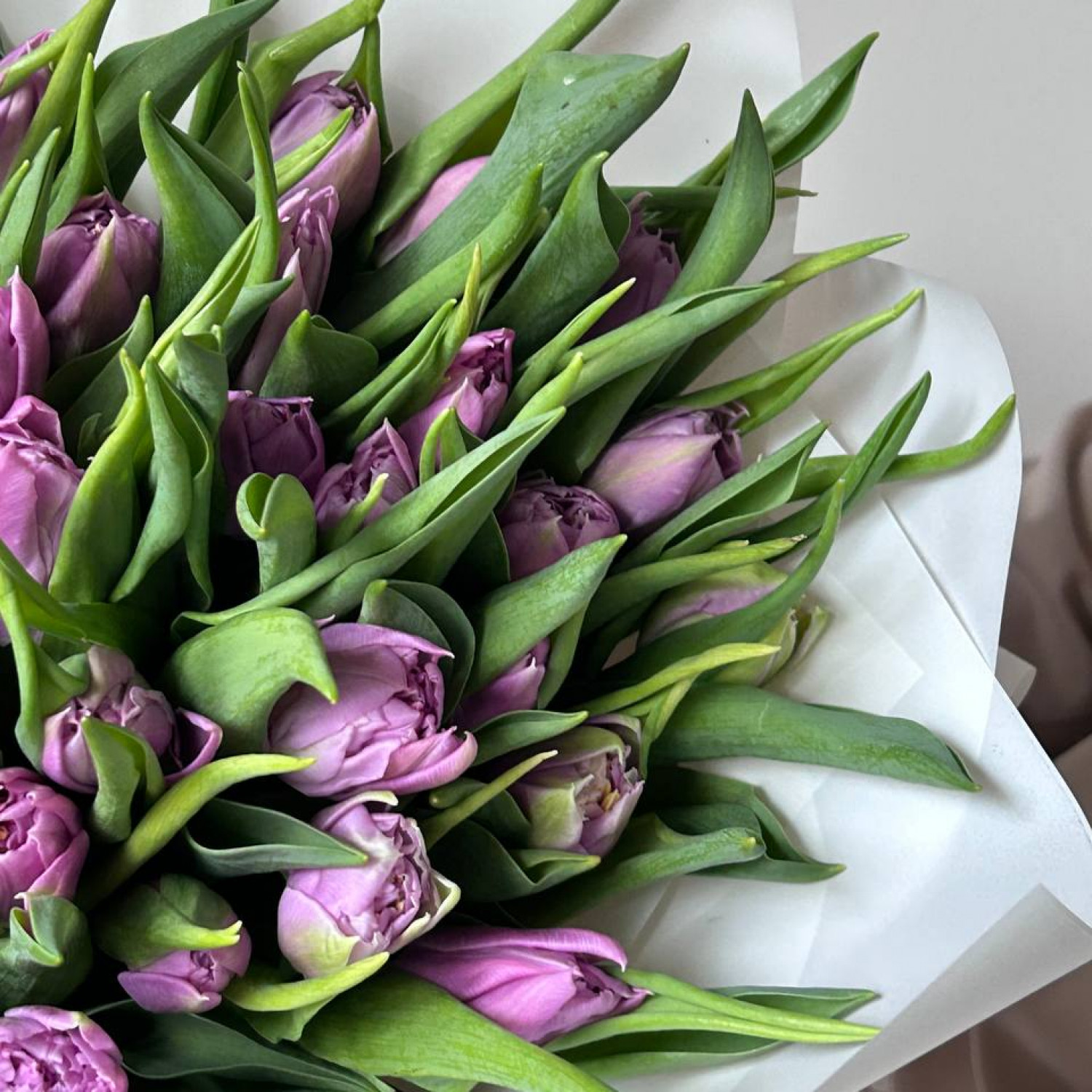 Монобукет из 49 пионовидных тюльпанов