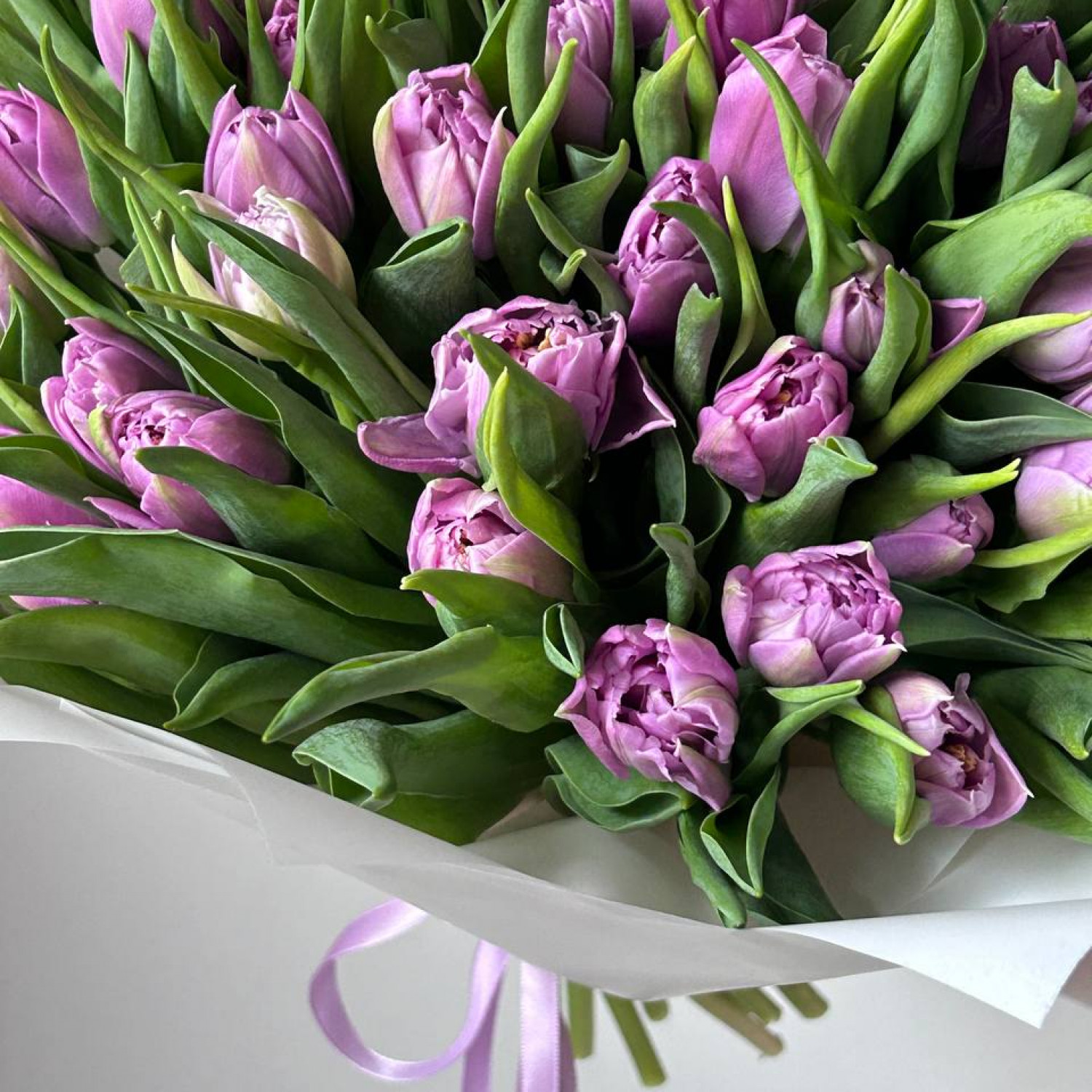 Монобукет из 49 пионовидных тюльпанов