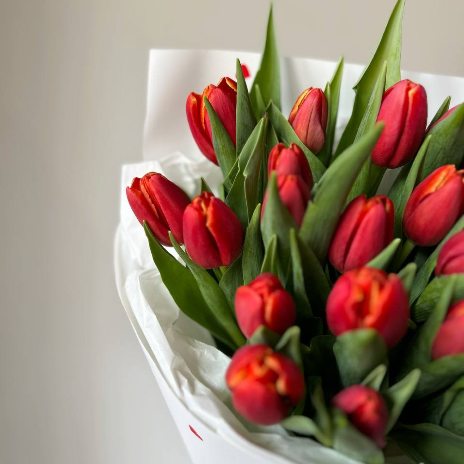 Монобукет из 25 красных тюльпанов