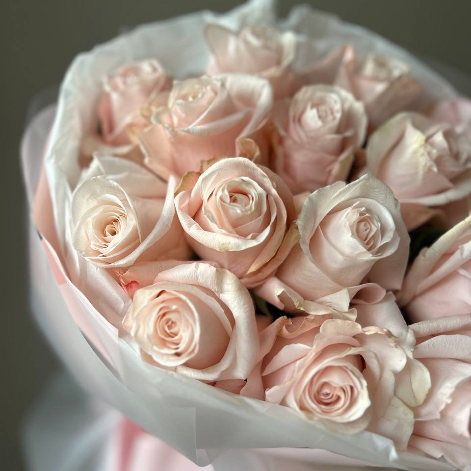 Монобукет из 15 пудровых эквадорский роз Помароса №104