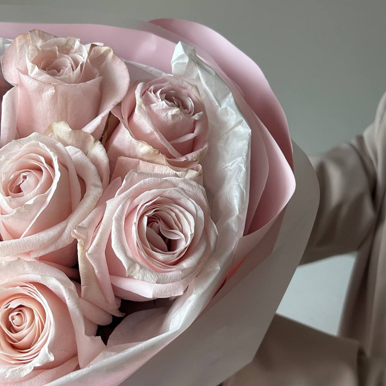 Монобукет из 9 пудовых эквадорских роз Помароса №105