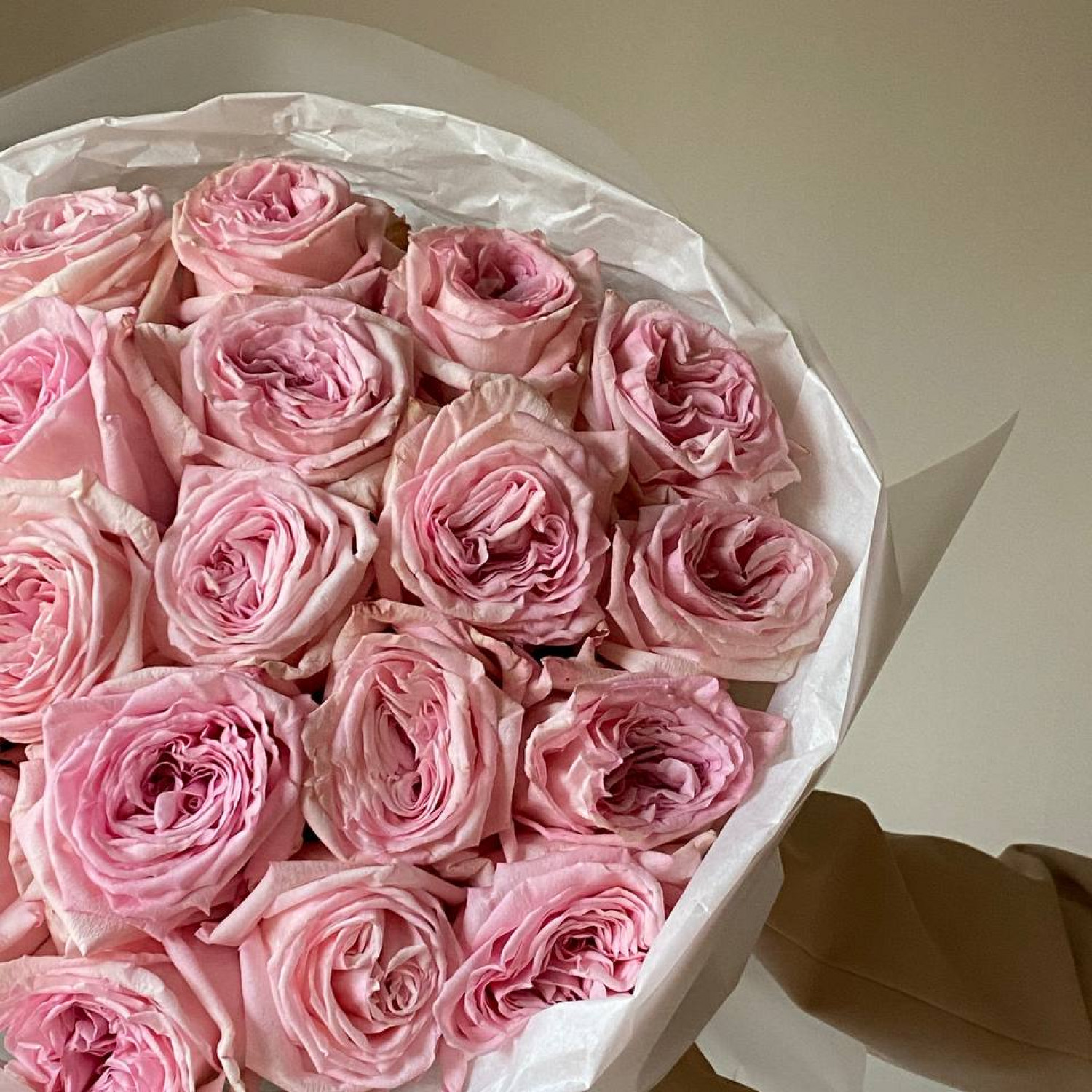 Монобукет из 19 ароматных пионовидных роз Пинк Охара №116