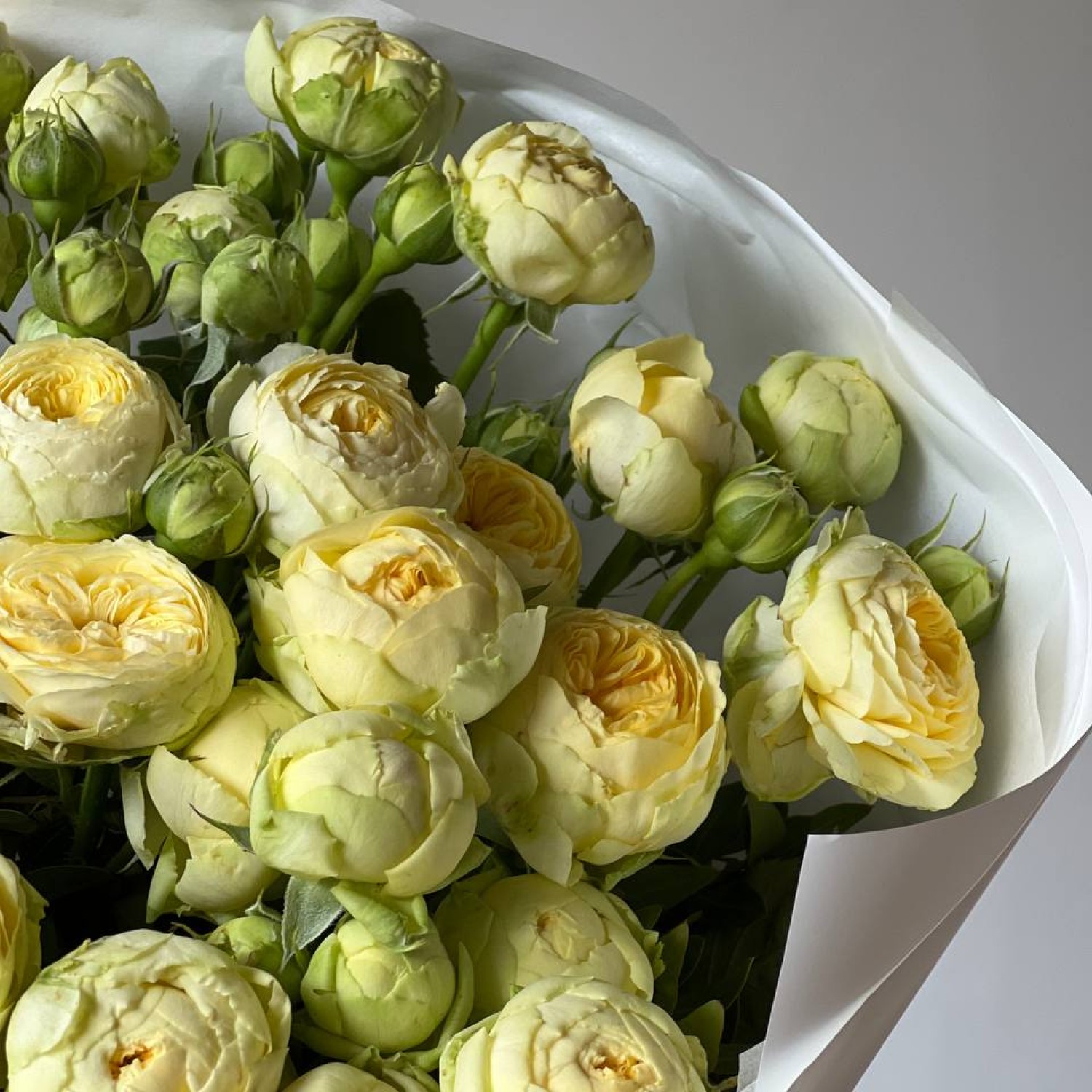 Букет из 9 пионовидных кустовых роз Пиони Баблс