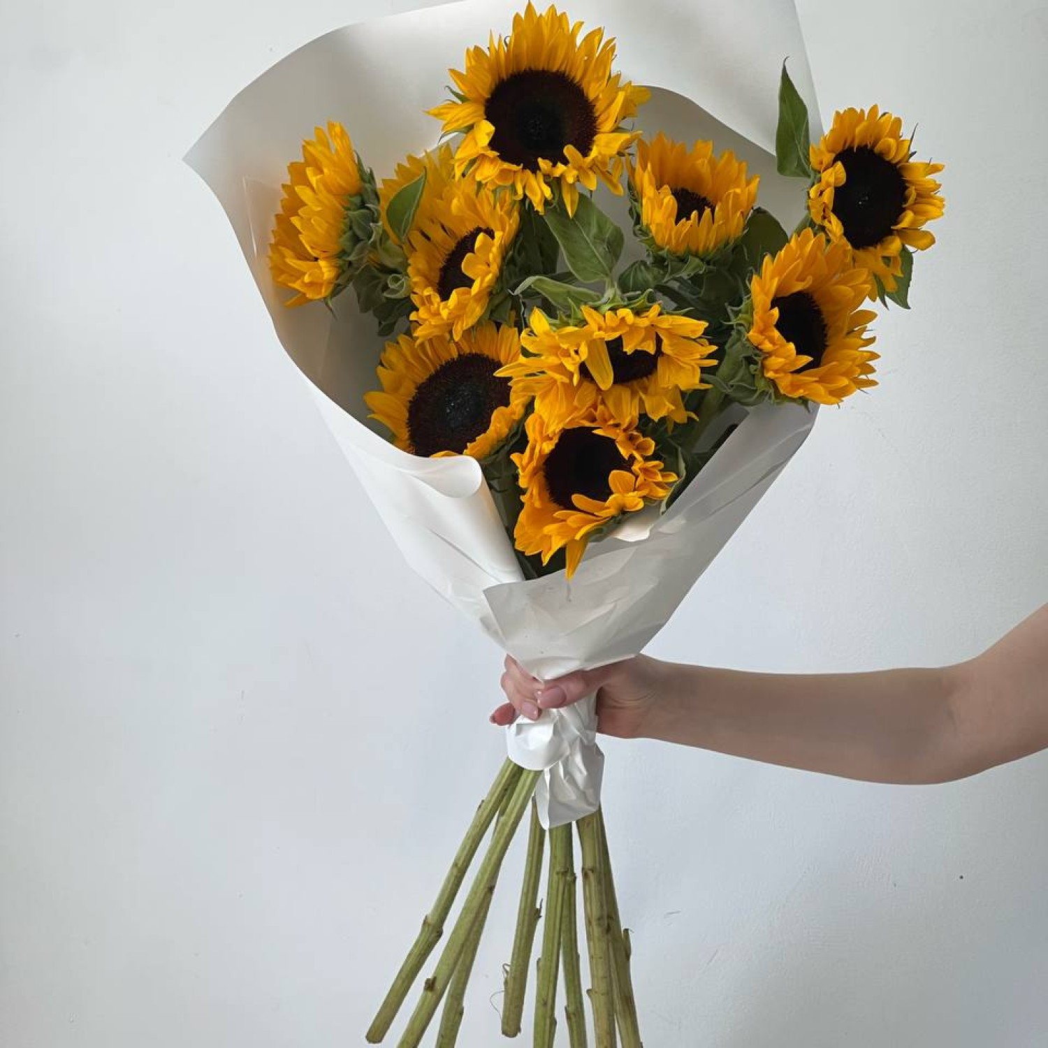 Букет из 9 подсолнухов