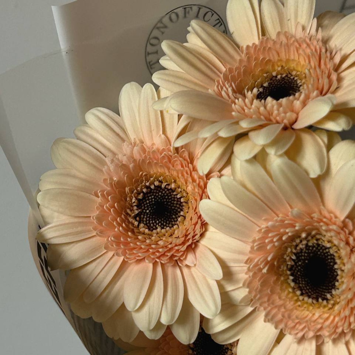 Букет из 9 Гербер