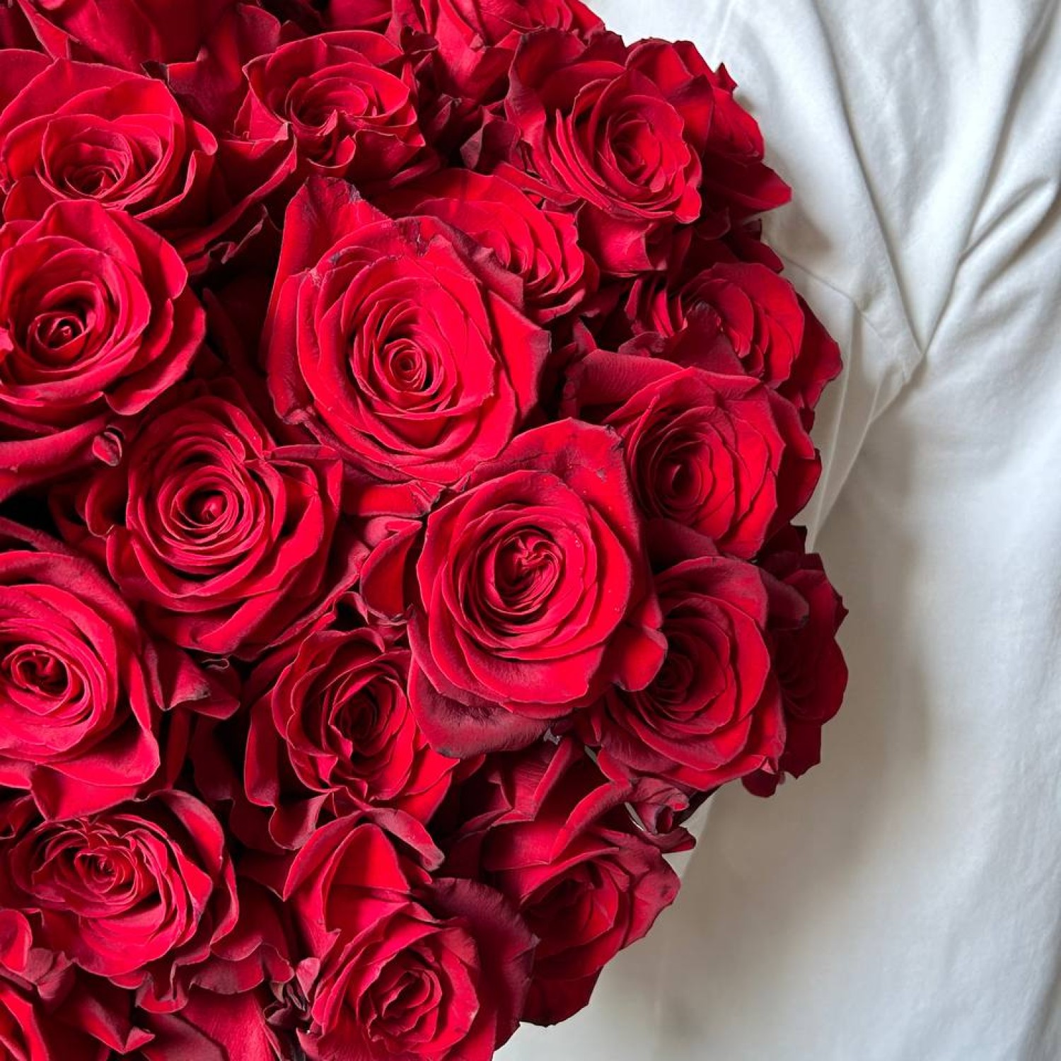 Букет их 51 красной розы 70 см