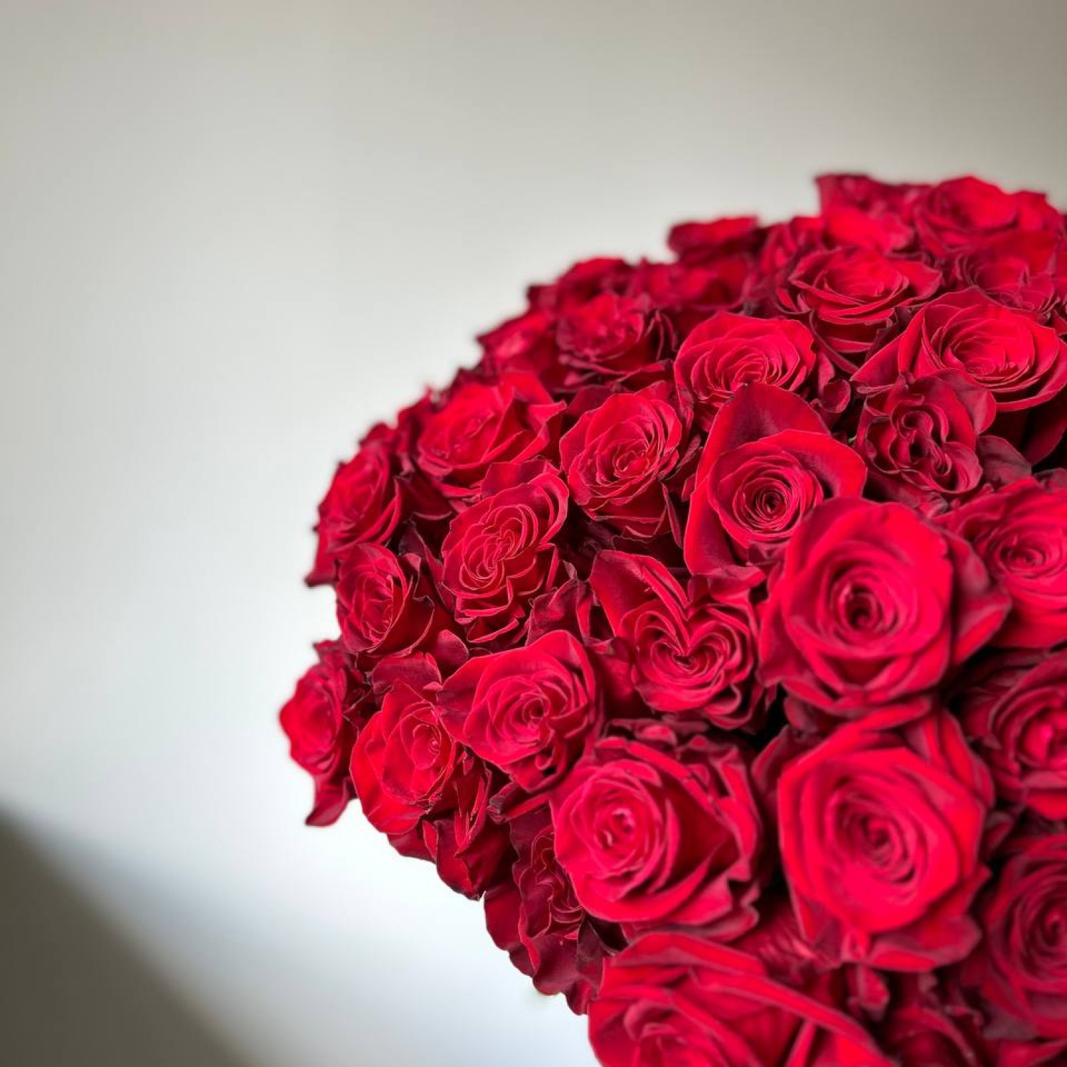 Букет их 51 красной розы 70 см