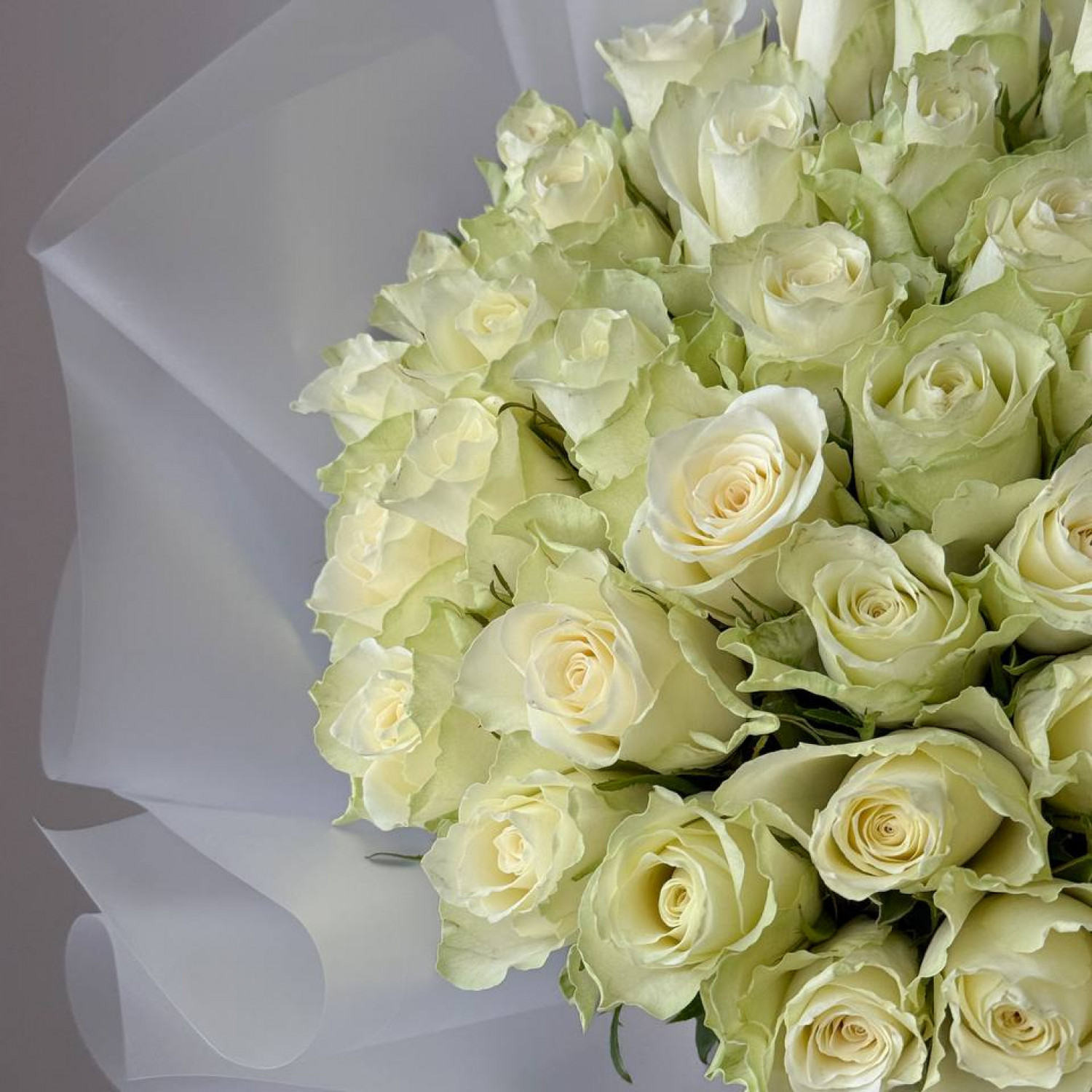 Монобукет из 35 кенийских роз 231