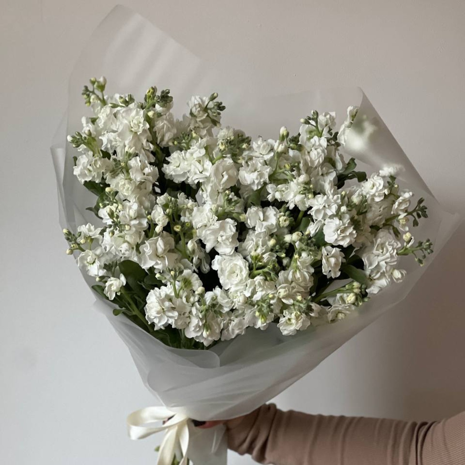 Моно букет из 13 кустовых Маттиол