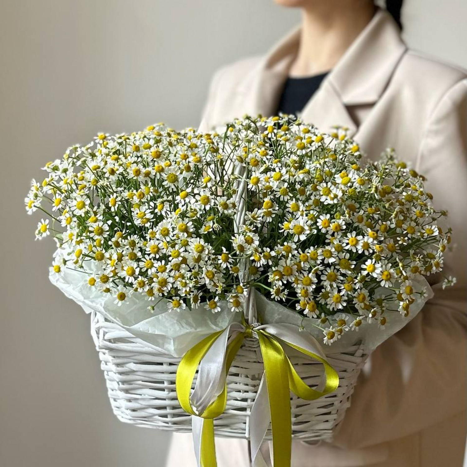 Корзина с ромашками