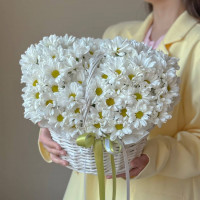 Корзина из ромашковой хризантемы 313