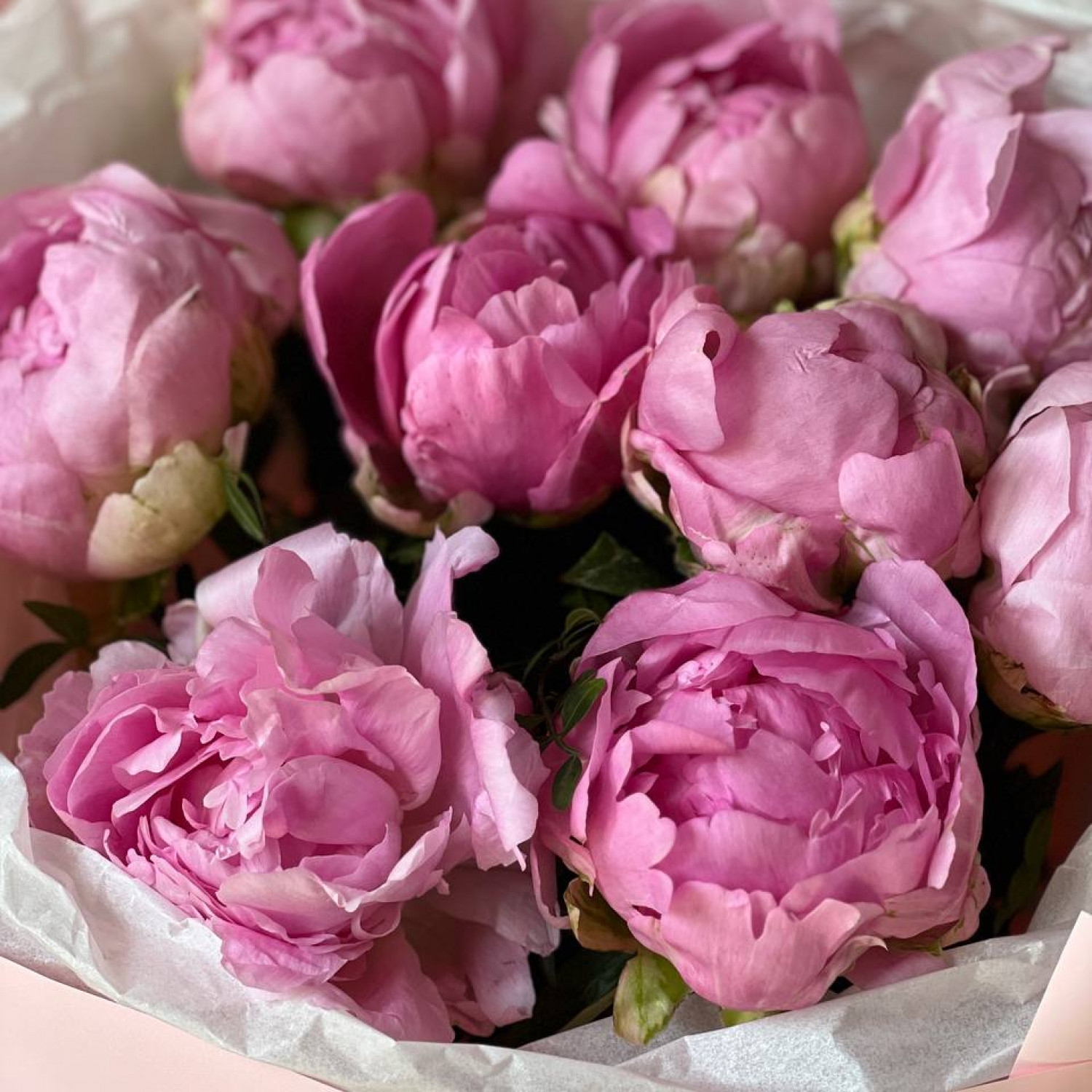 Монобукет из 9 розовых пионов