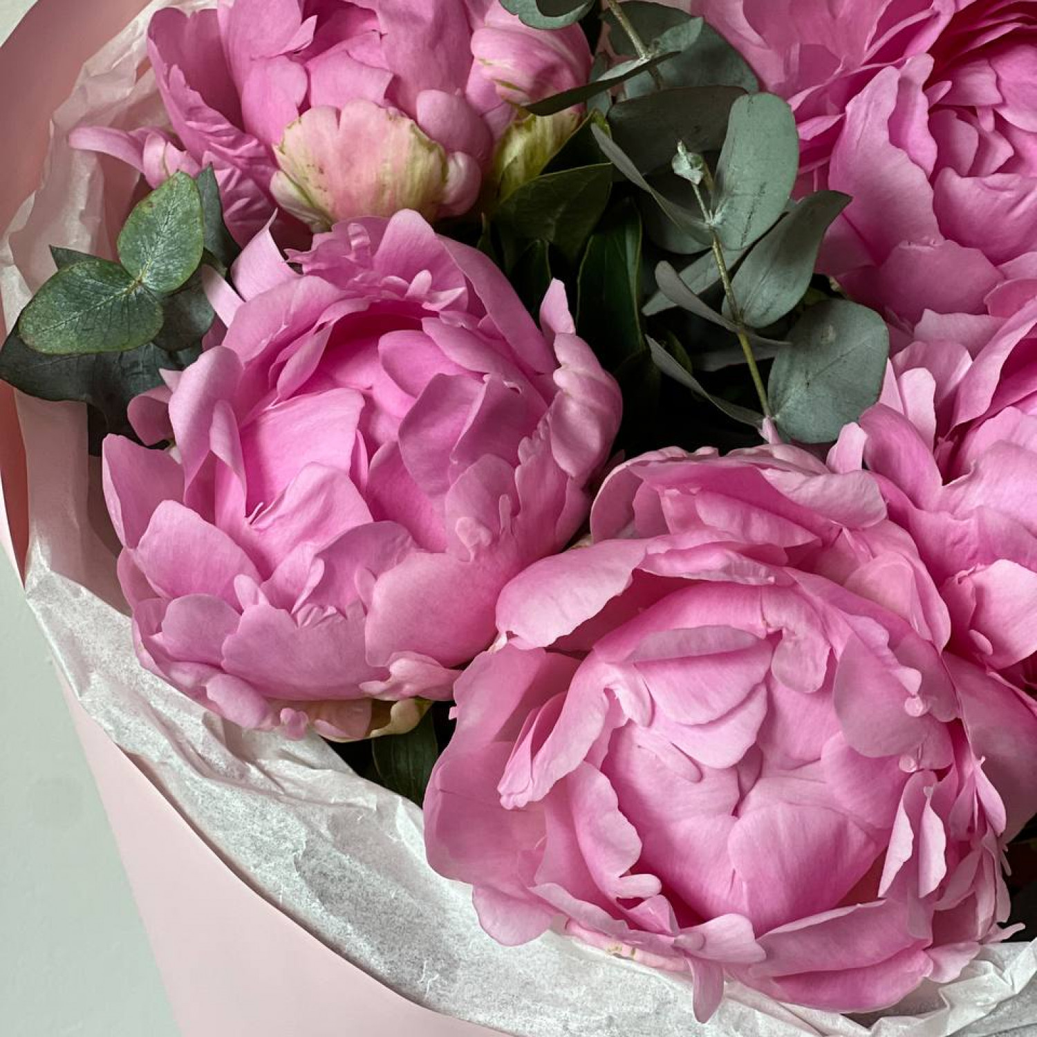 Монобукет из 5 пионов с эвкалиптом