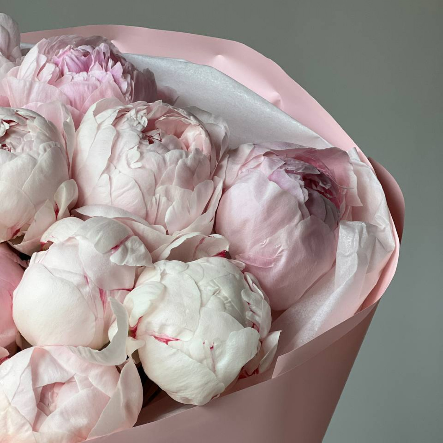 Монобукет из 15 нежных пионов