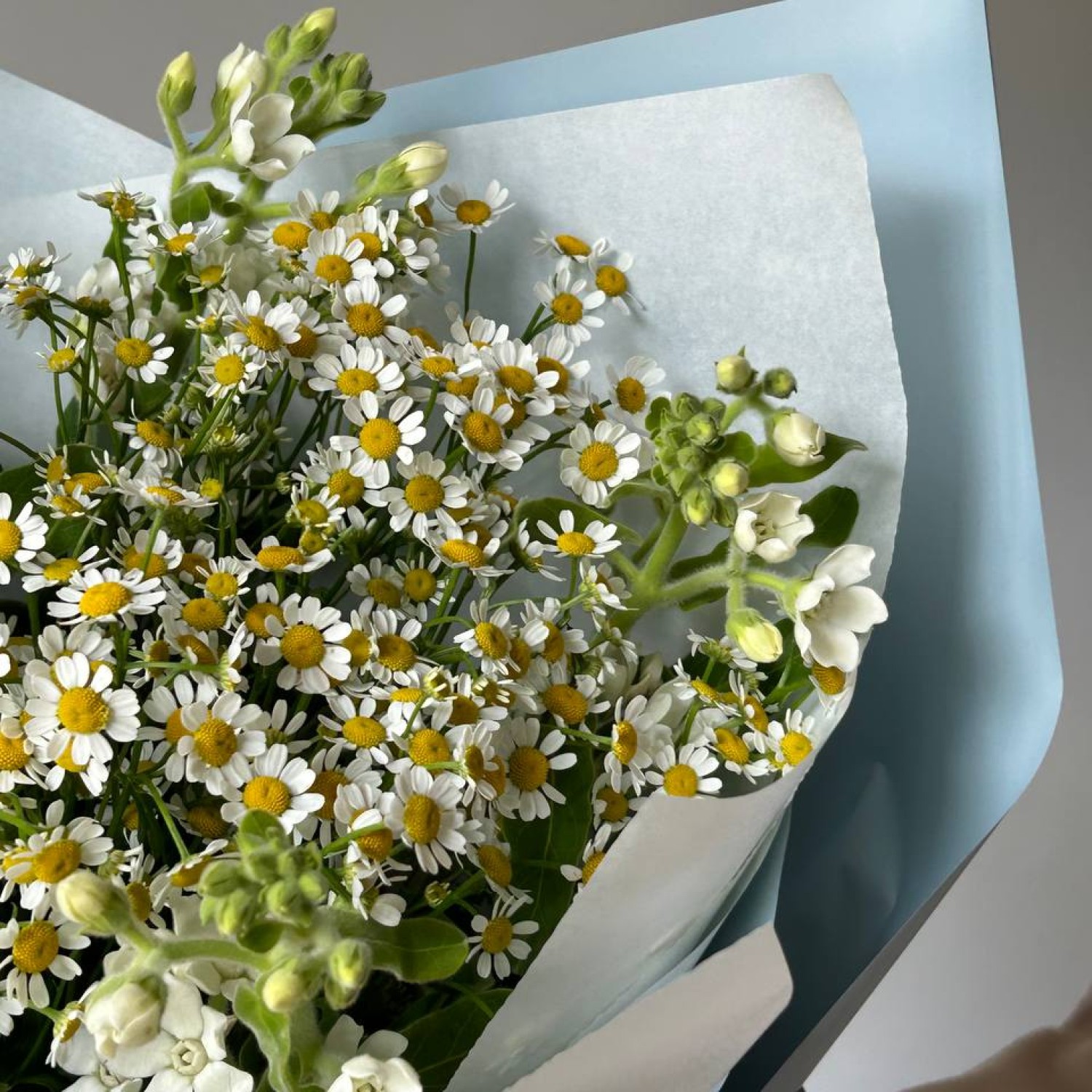 Сборный летний букет из кустовых ромашек и незабудок