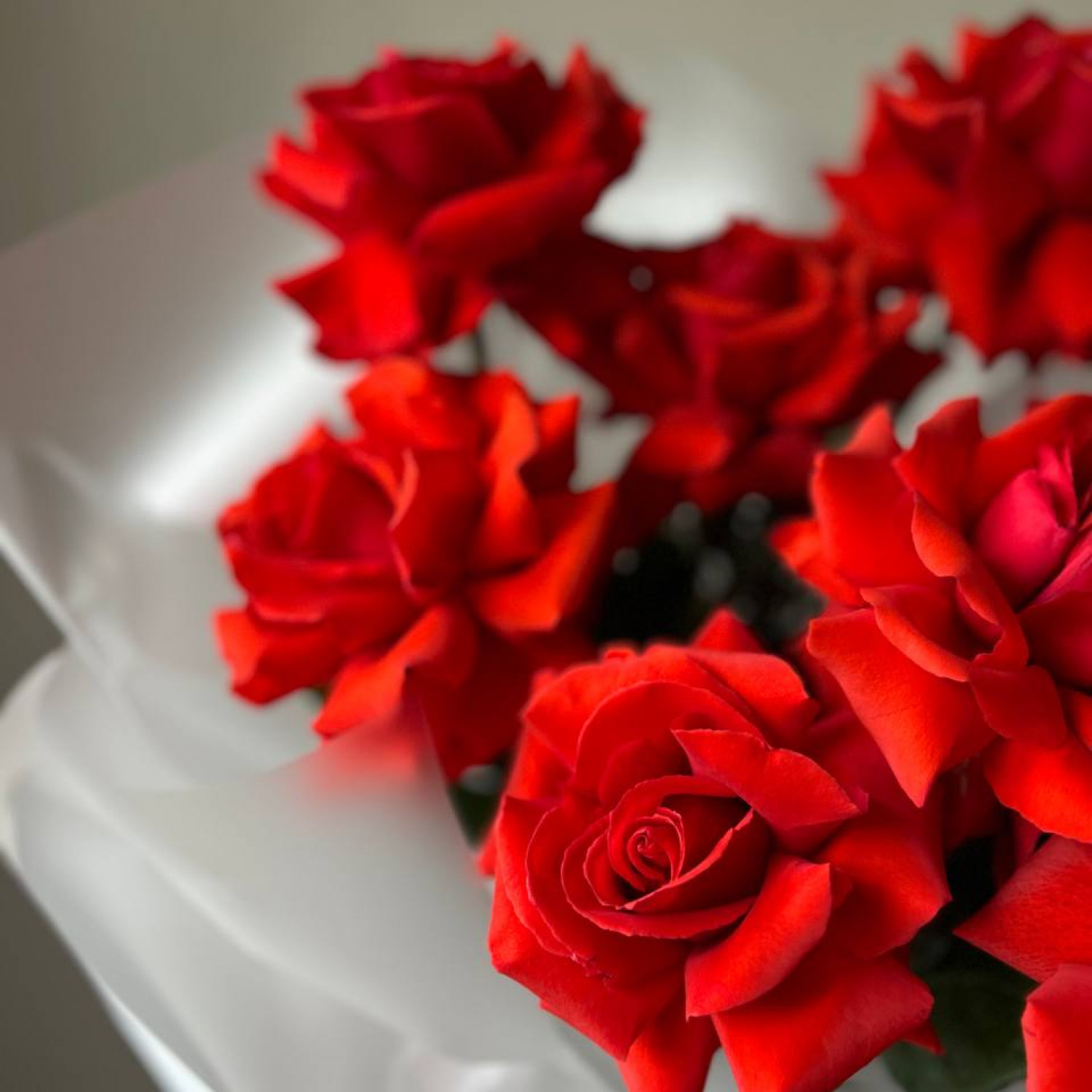 Монобукет из 9 красных Французских вывернутых роз Нина