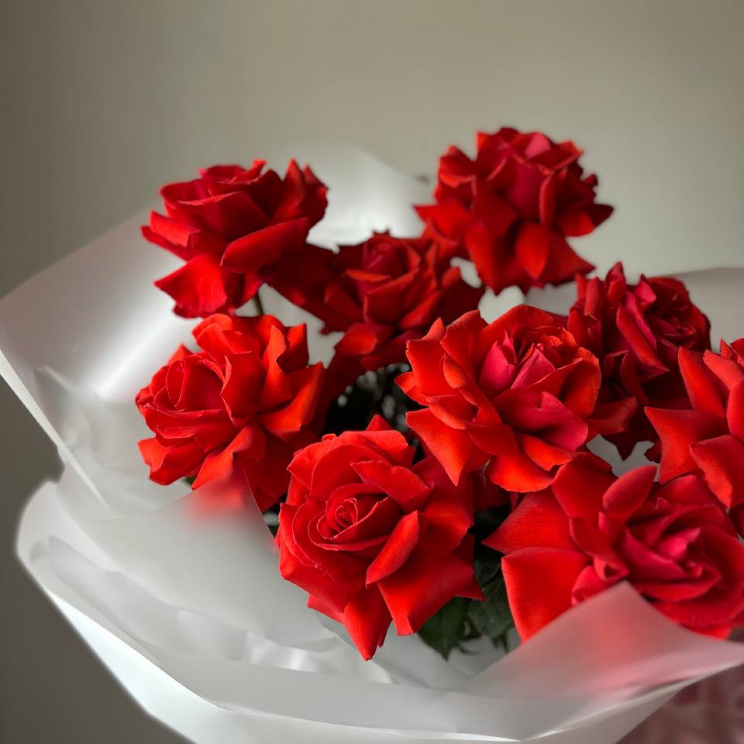 Монобукет из 9 красных Французских вывернутых роз Нина