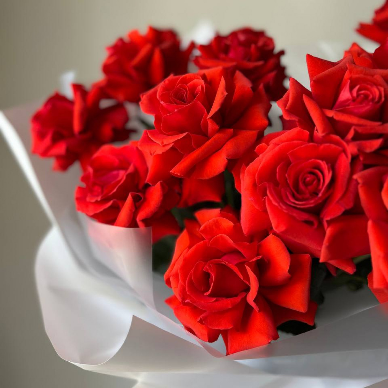 Монобукет из 15 красных Французских вывернутых роз Нина