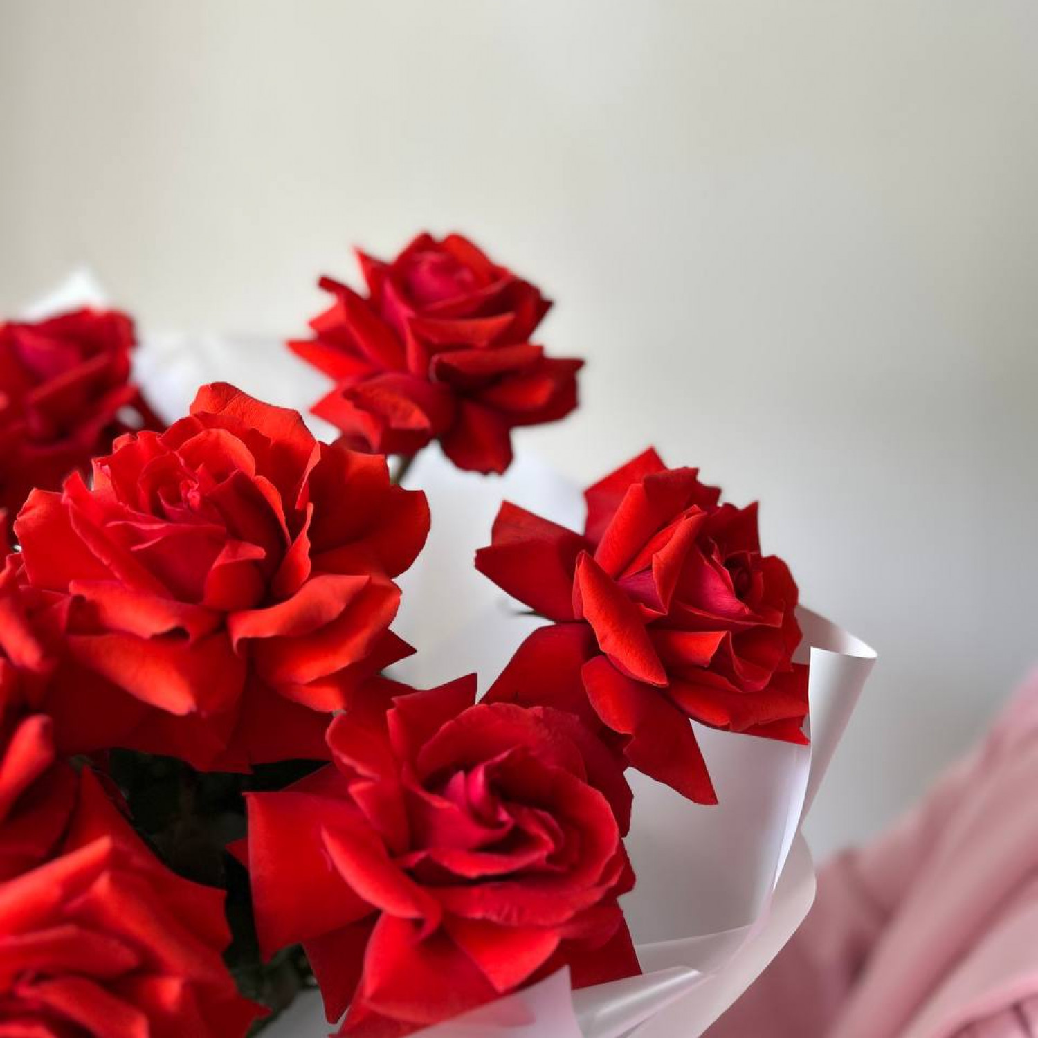 Монобукет из 15 красных Французских вывернутых роз Нина