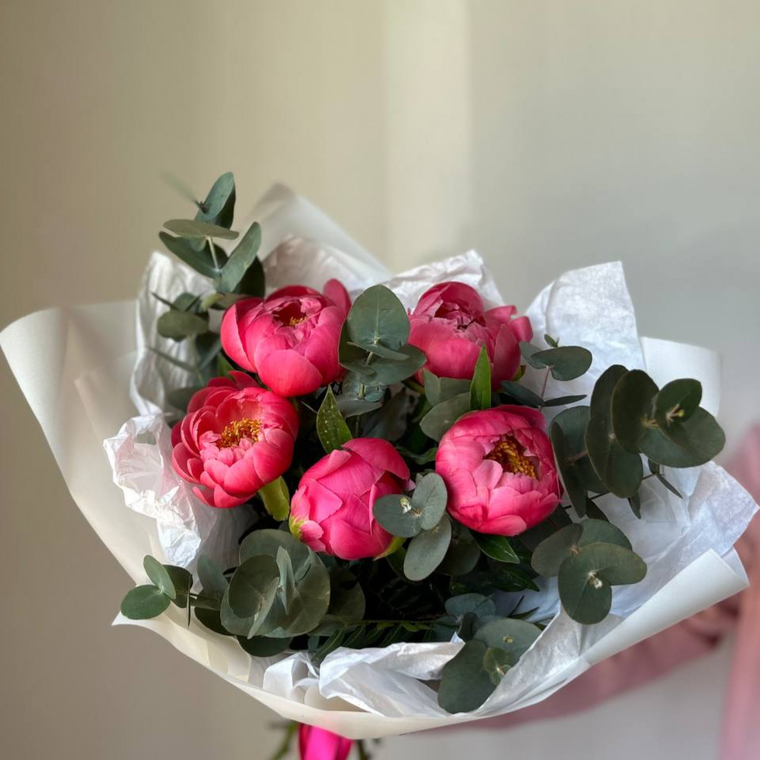 Монобукет из 5 пионов Корал Шарм с эвкалиптом №62