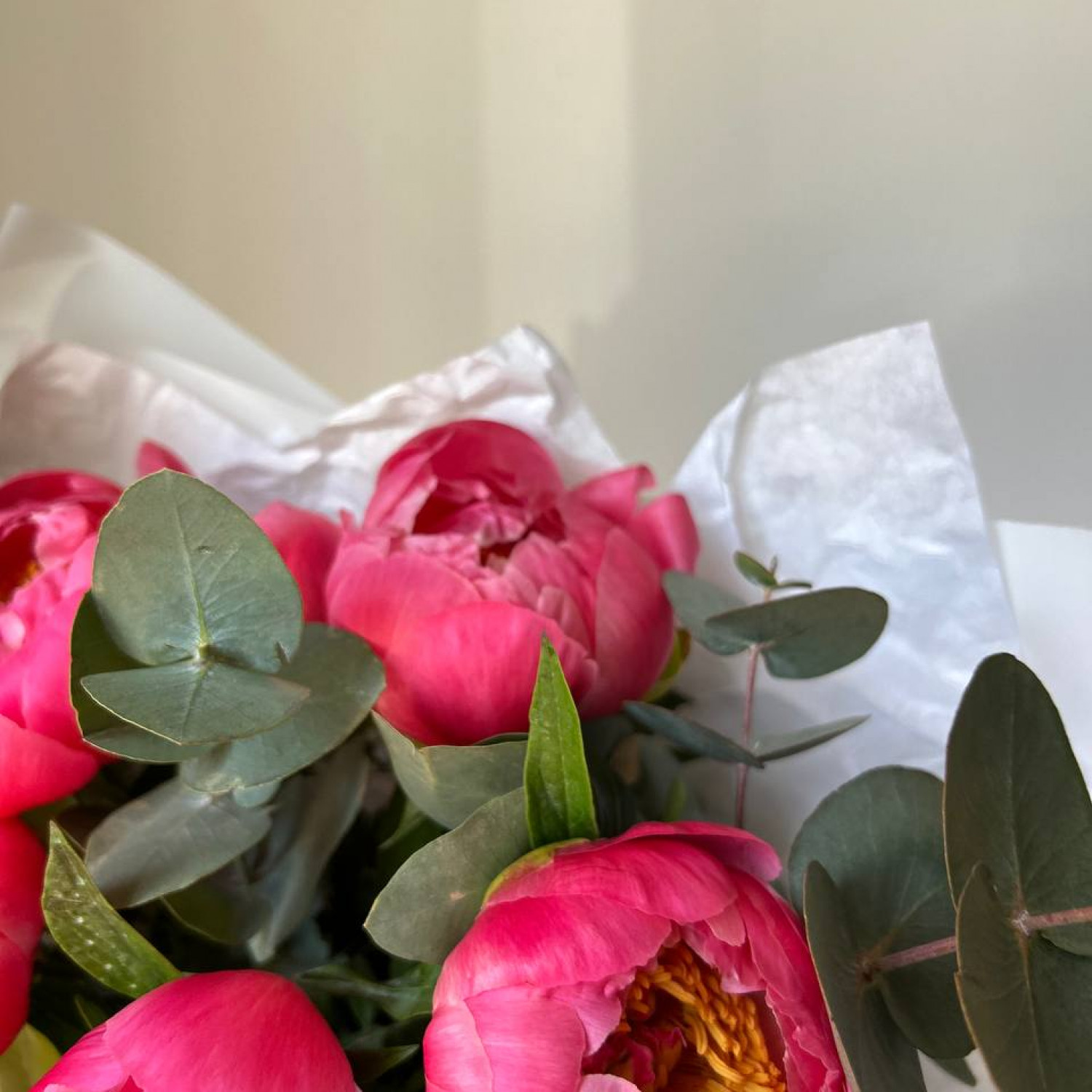 Монобукет из 5 пионов Корал Шарм с эвкалиптом №62