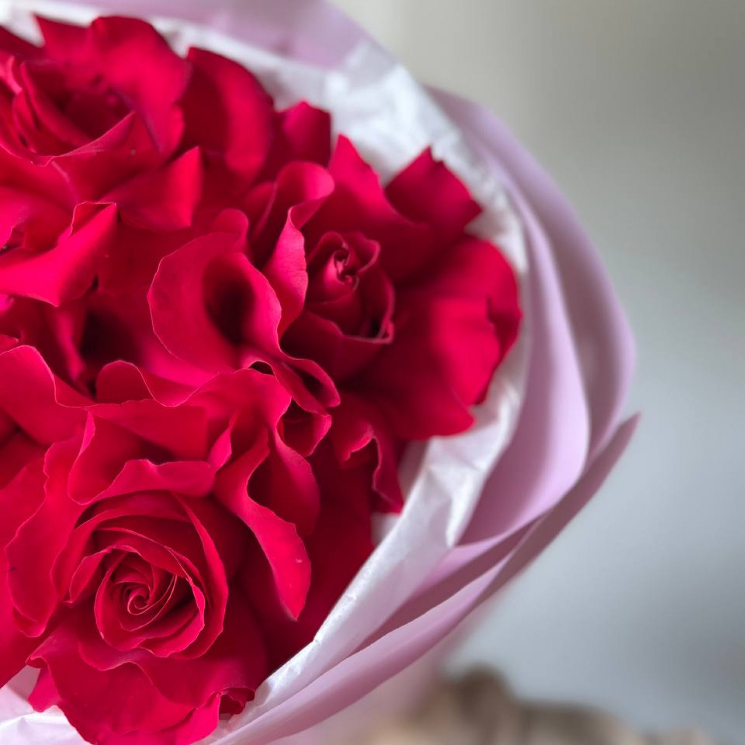 Монобукет из 5 малиновых Французских вывернутых роз