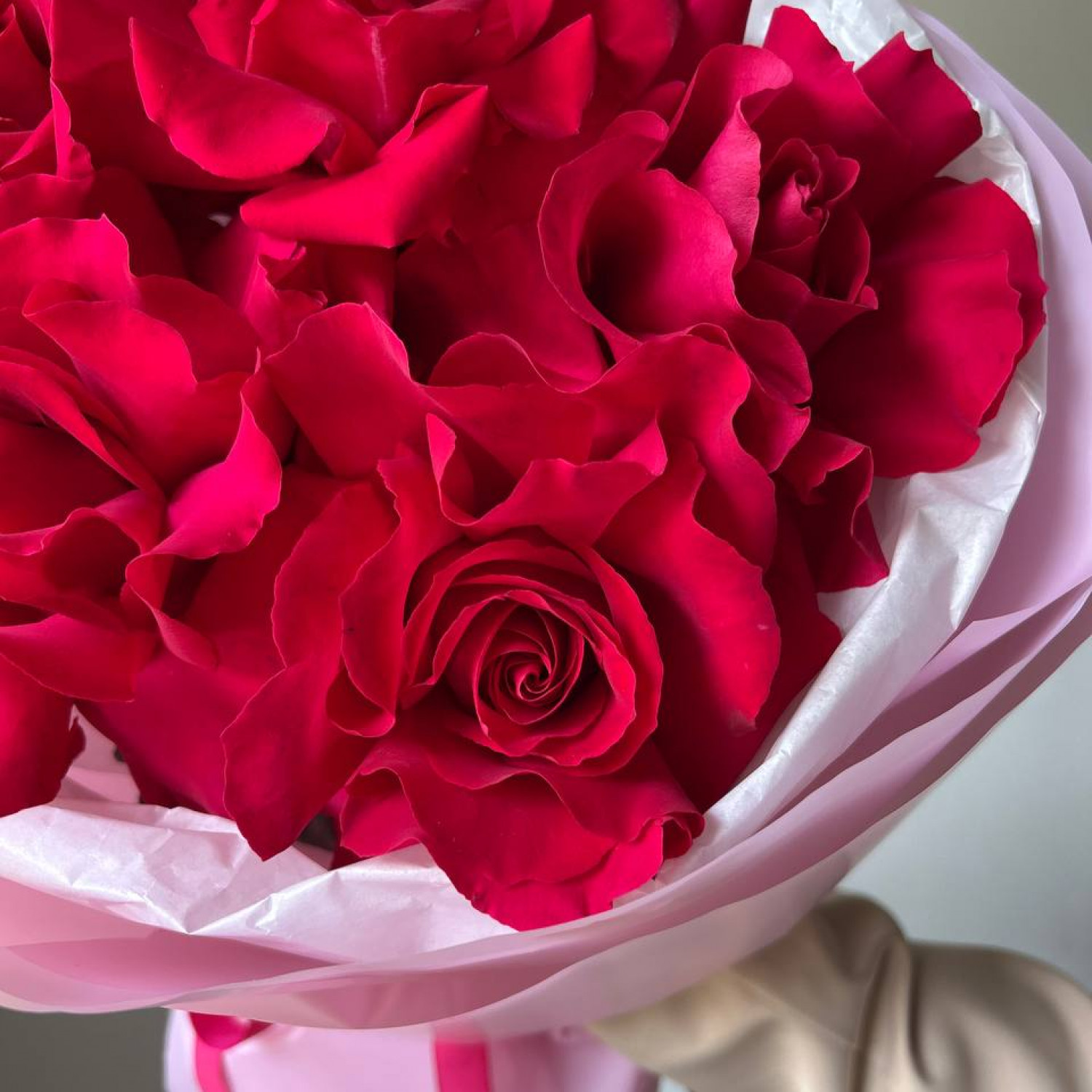 Монобукет из 5 малиновых Французских вывернутых роз