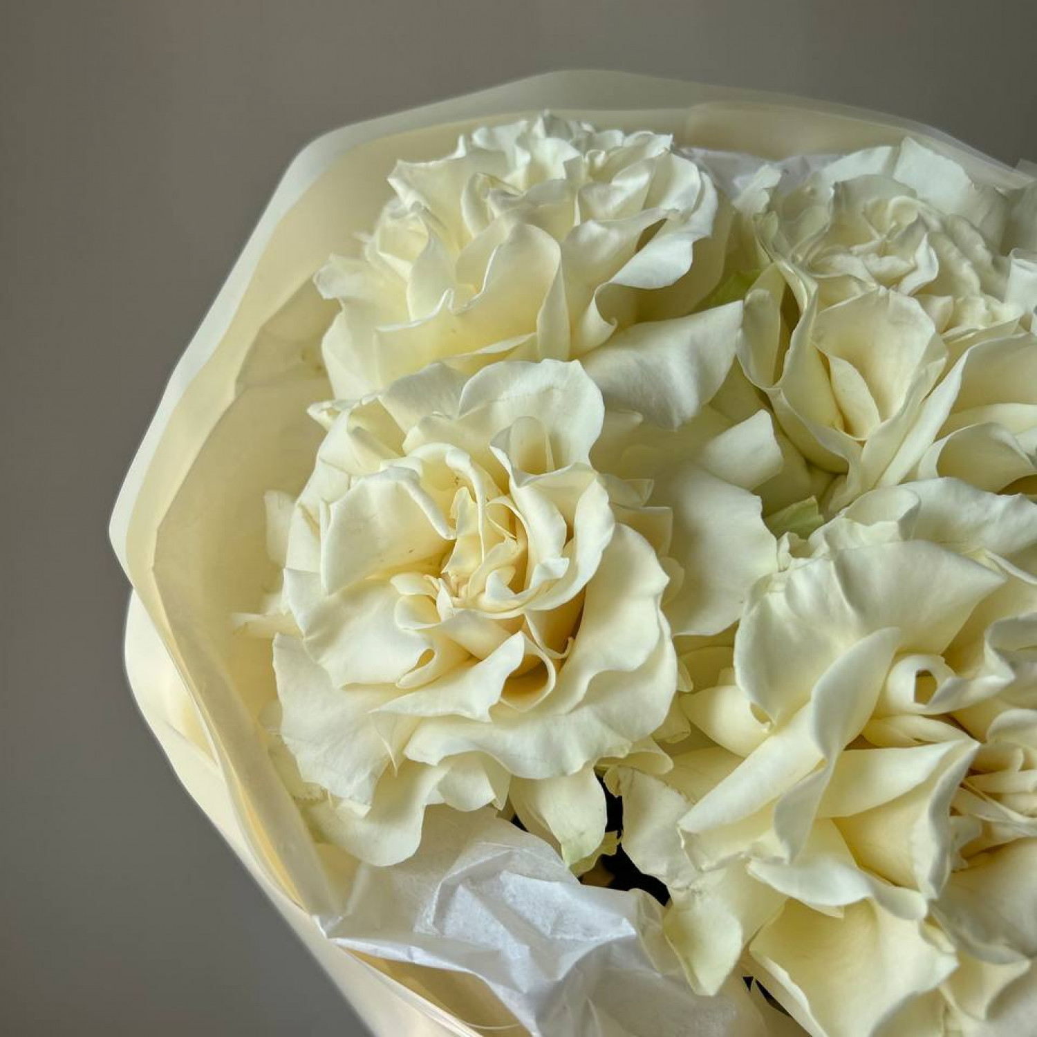 Монобукет из 5 белых французских вывернутых роз