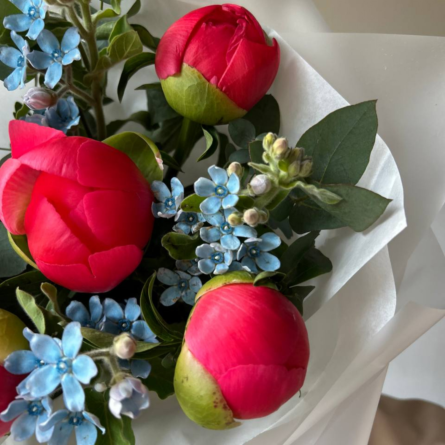 Авторский букет с пионами Корал Шарм №53