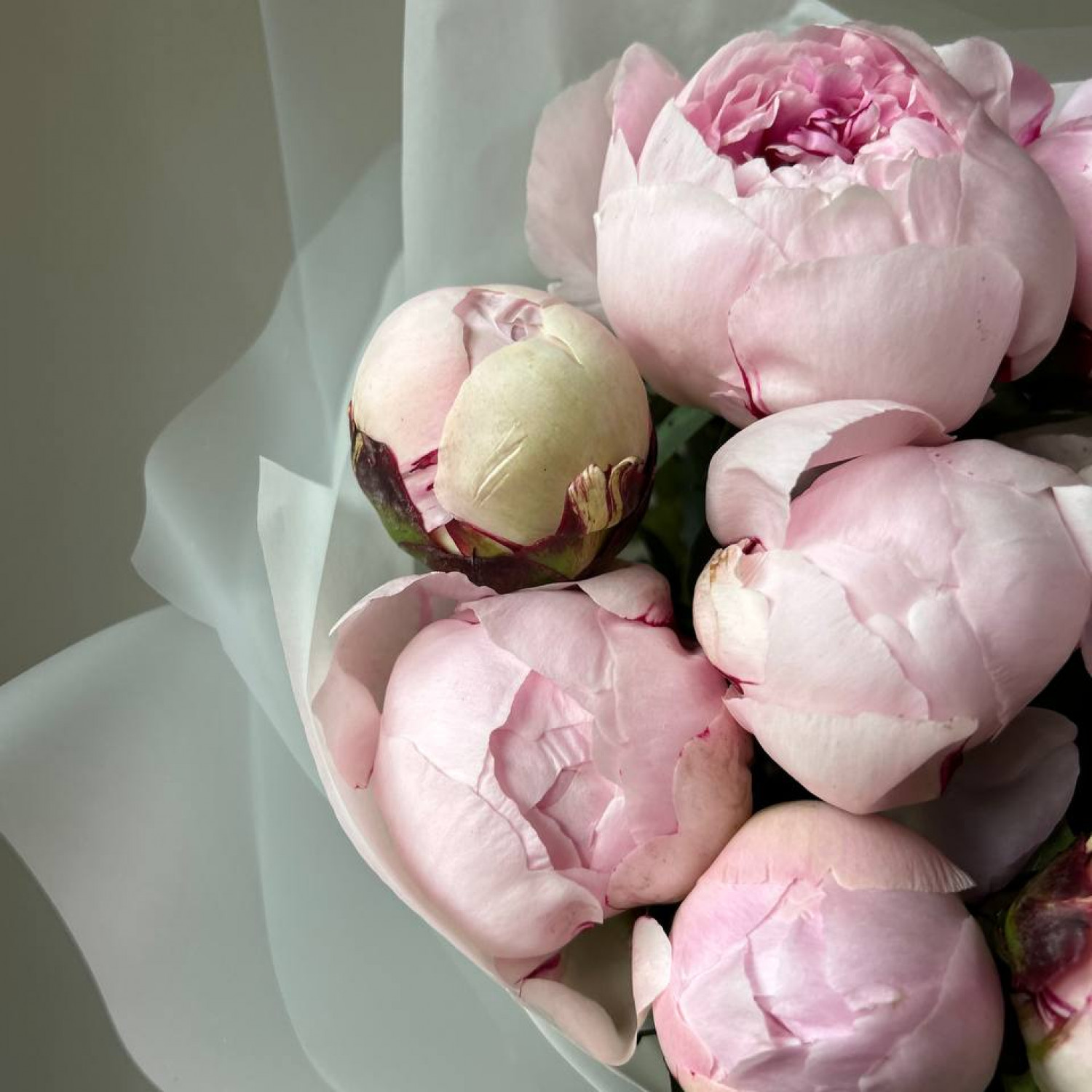 Монобукет из 9 розовых пионов